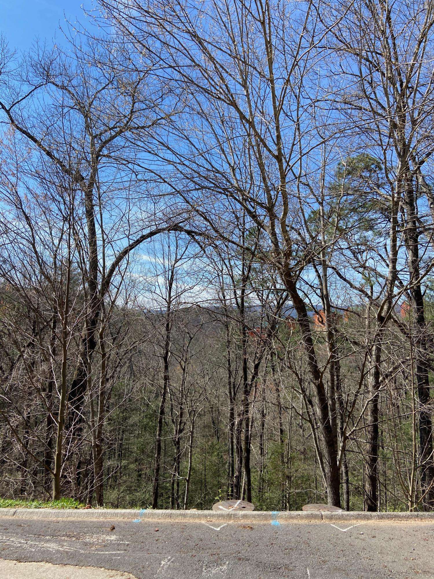 Sevierville, TN 37862,Lot #74 Smoky Ridge Way