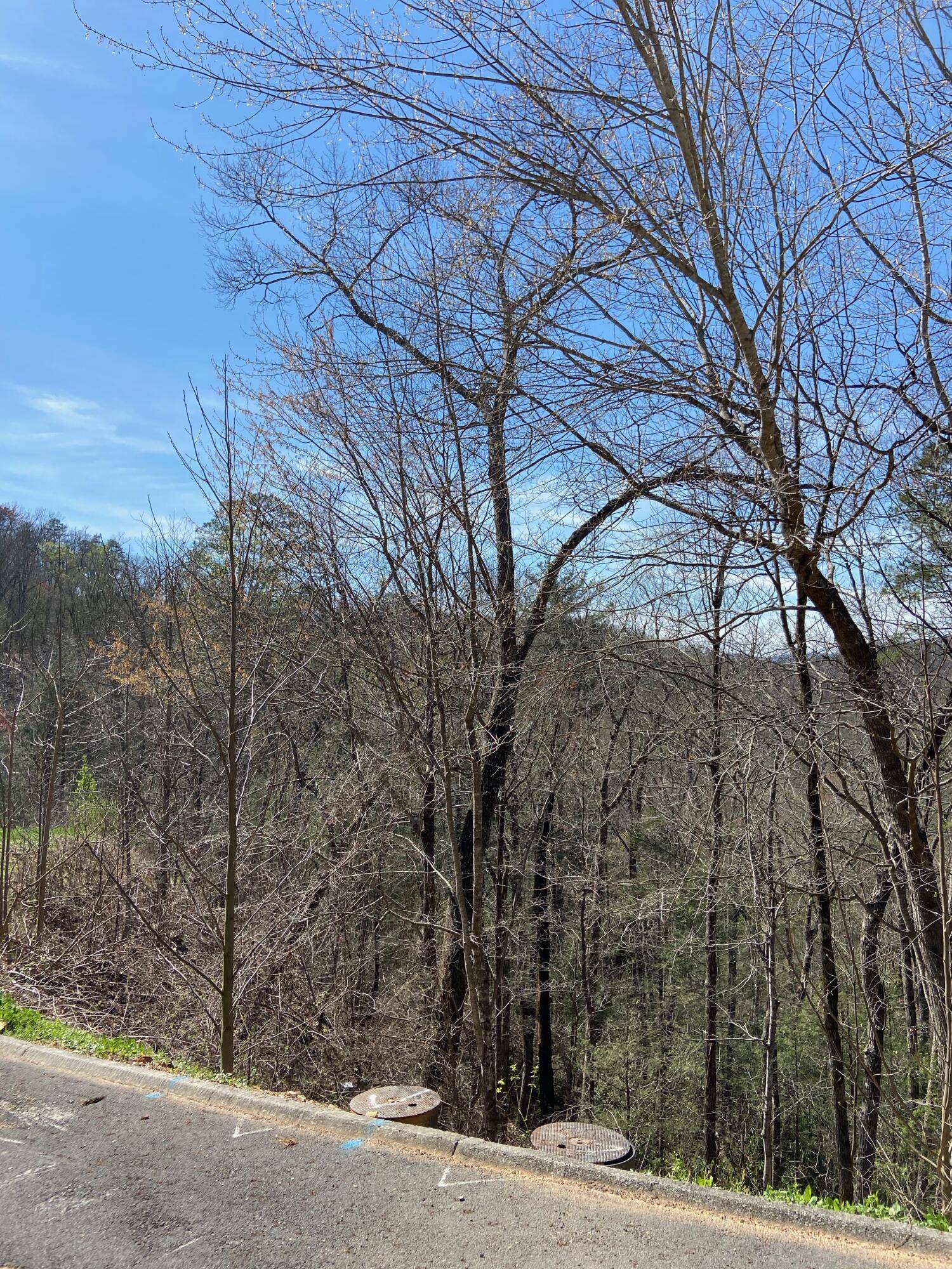 Sevierville, TN 37862,Lot #74 Smoky Ridge Way