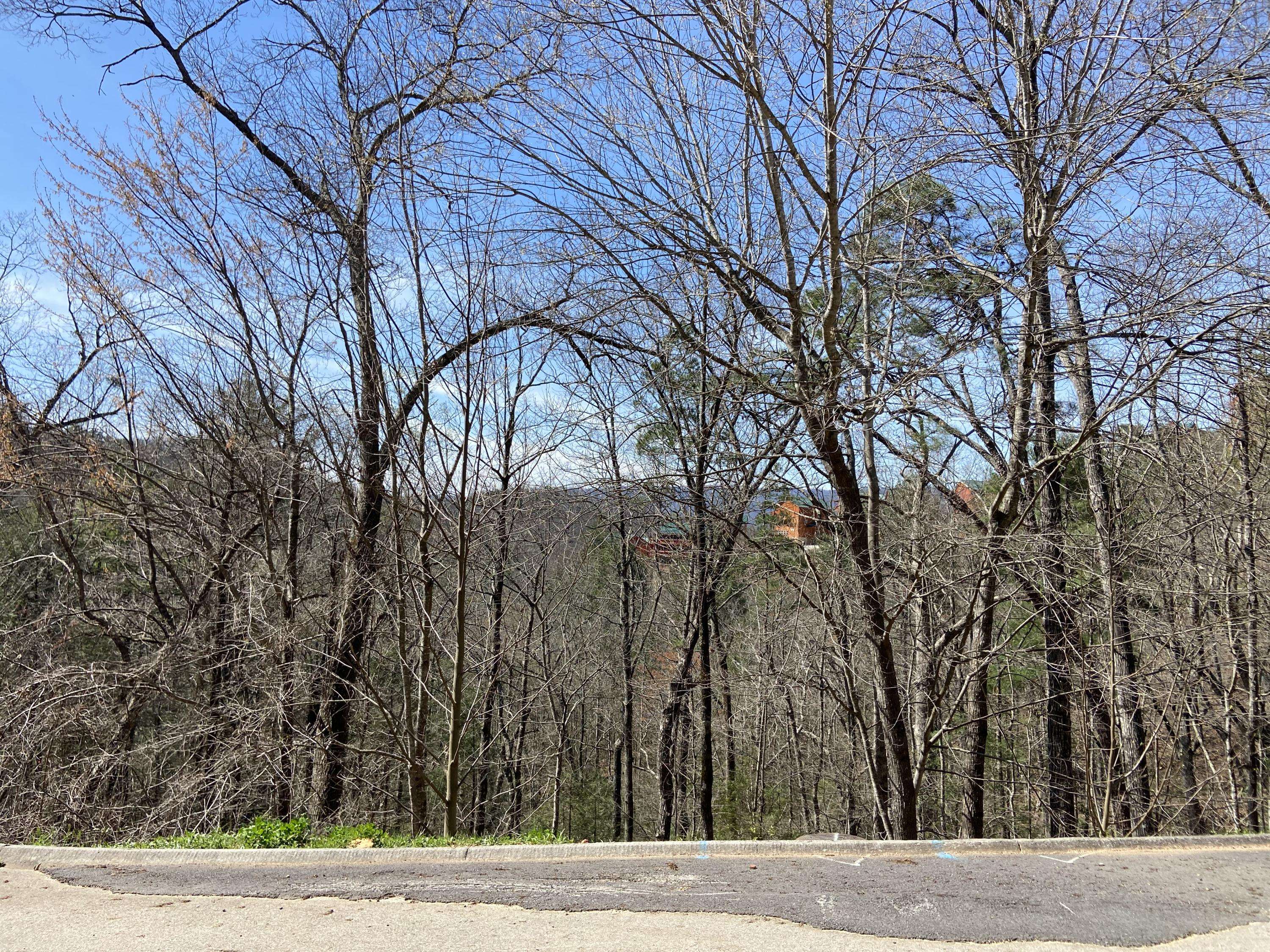 Sevierville, TN 37862,Lot #74 Smoky Ridge Way