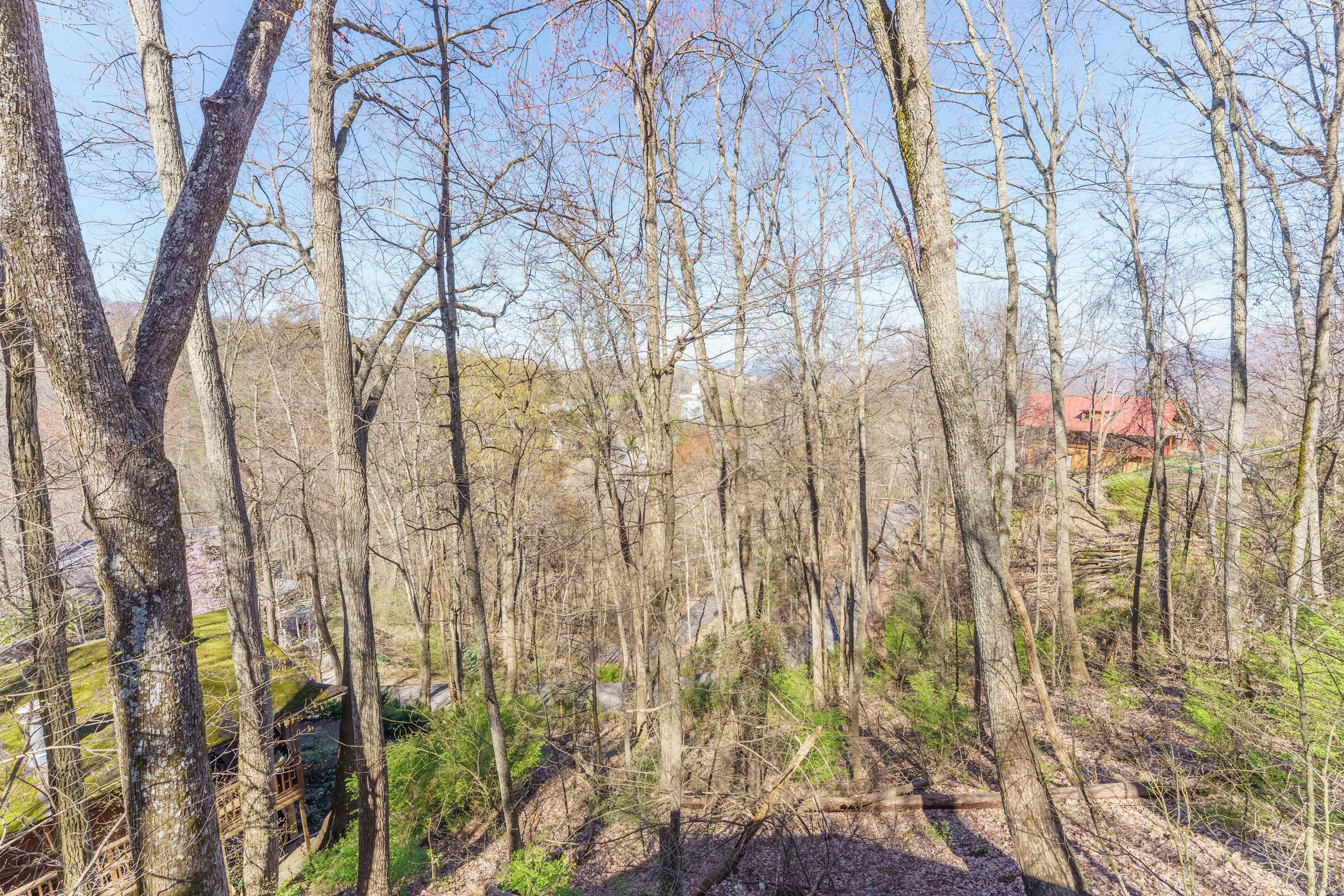 Gatlinburg, TN 37738,Lot 217 Cliff Branch Rd