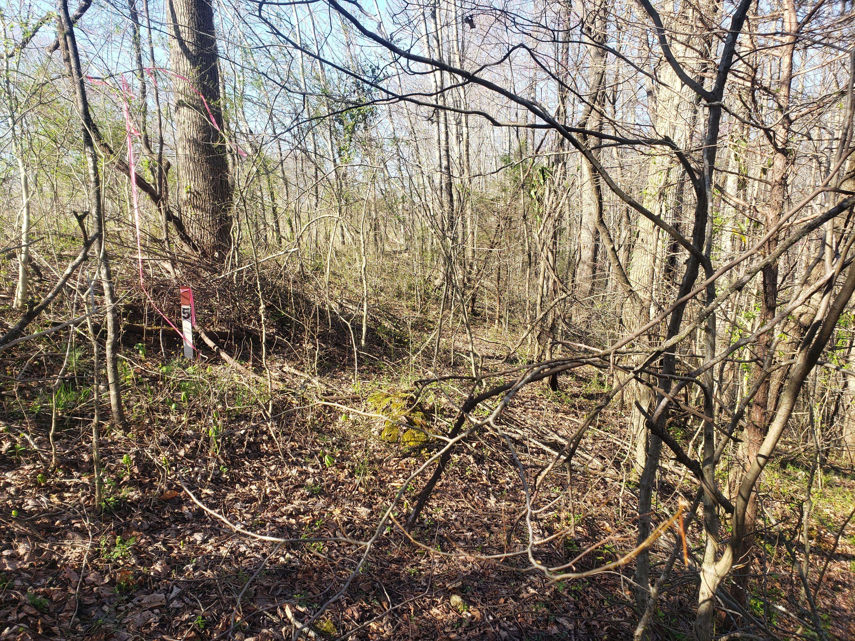 Gainesboro, TN 38562,Lot 5 Hopkins Brown LN