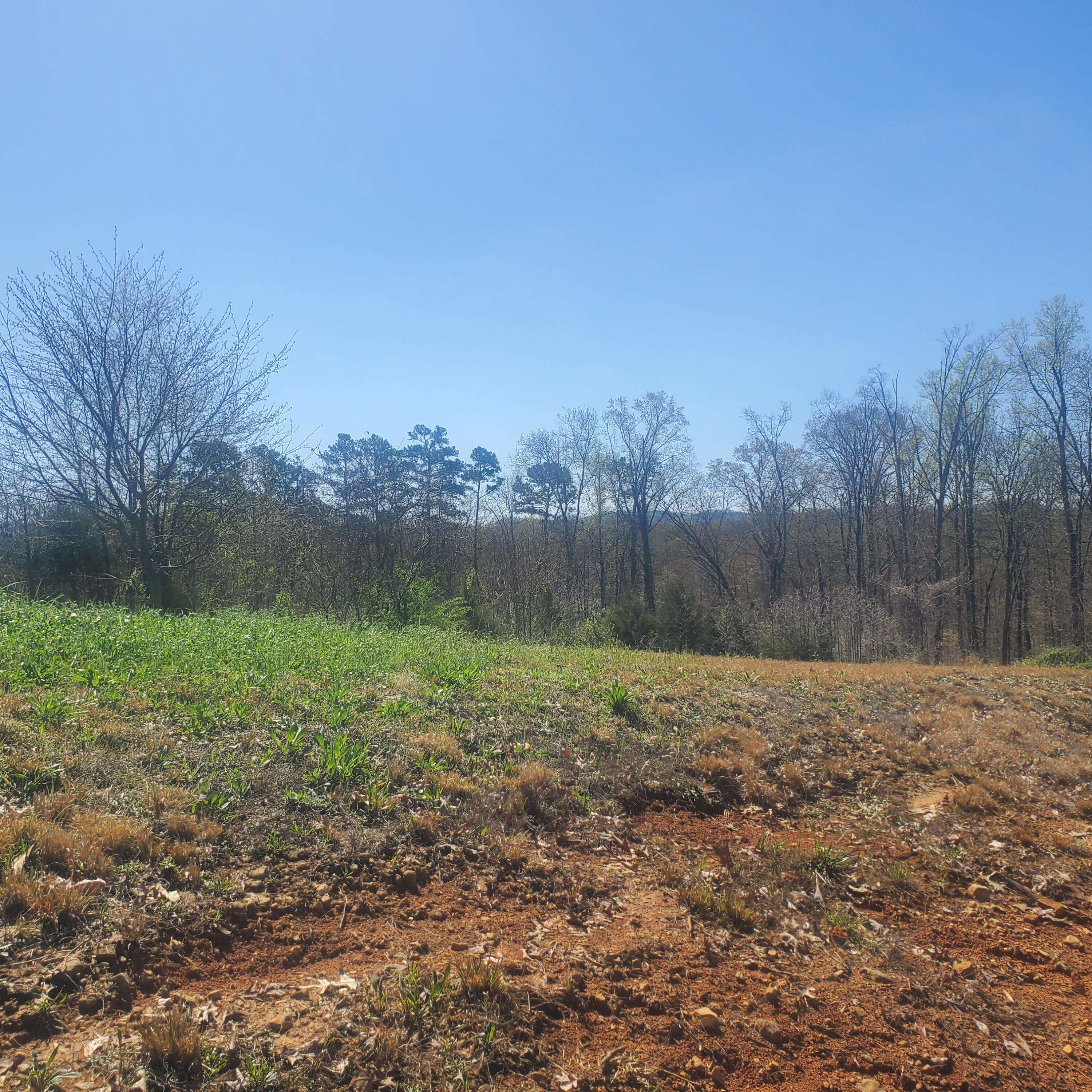 Rutledge, TN 37861,Lot 143 Tumbleweed Tr