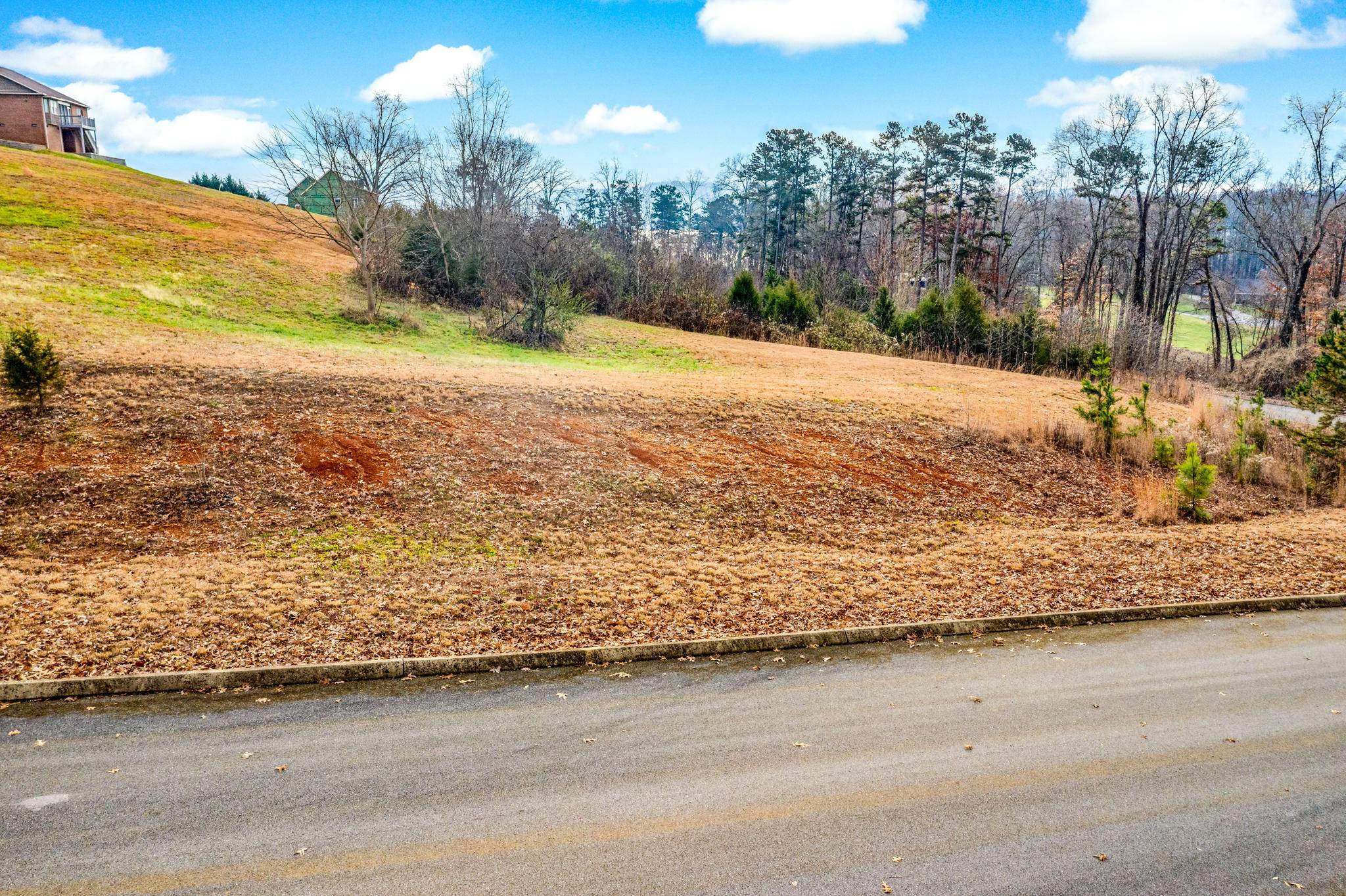 Rutledge, TN 37861,Lot 143 Tumbleweed Tr