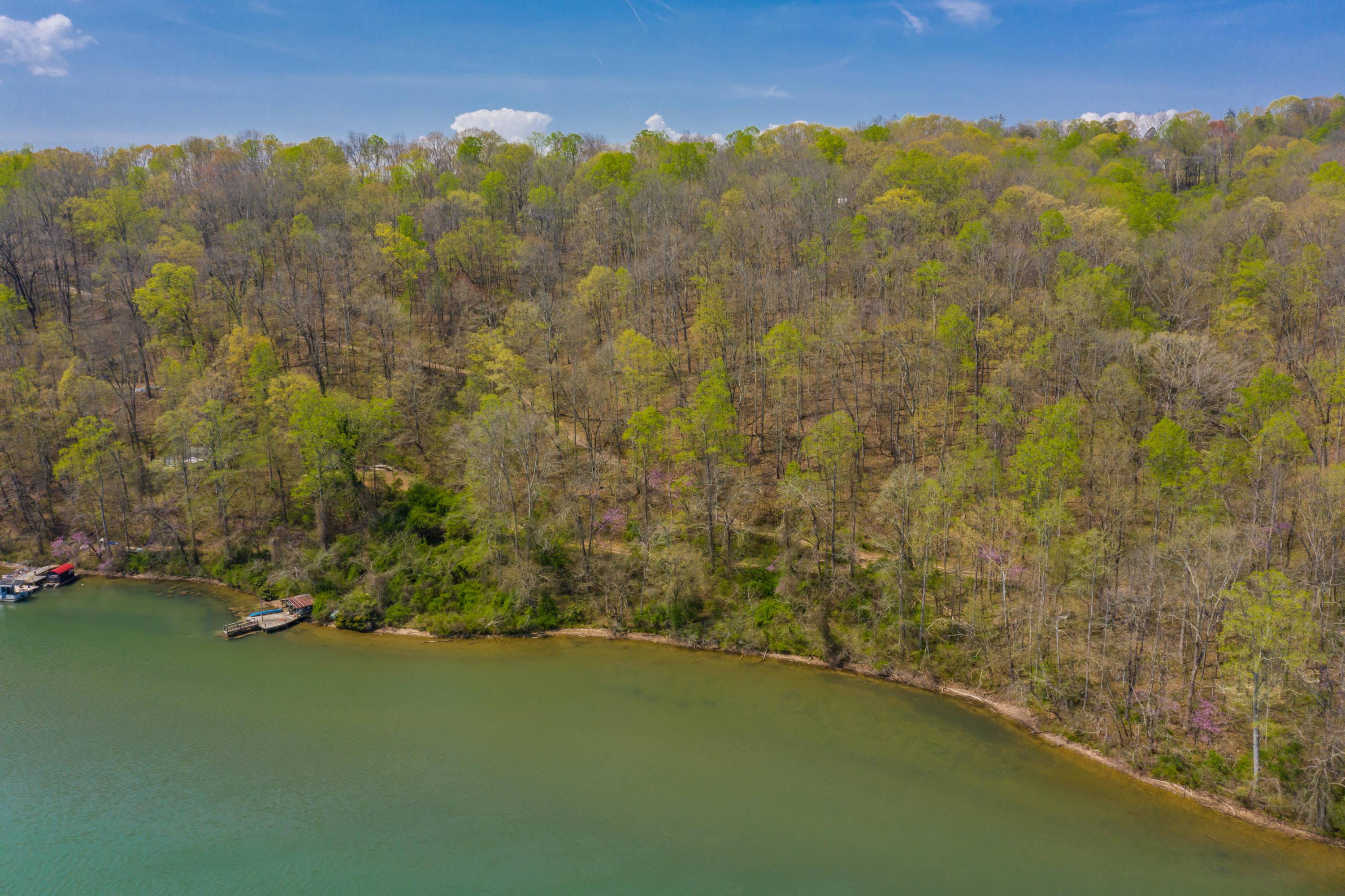 Harriman, TN 37748,Lakecrest DR