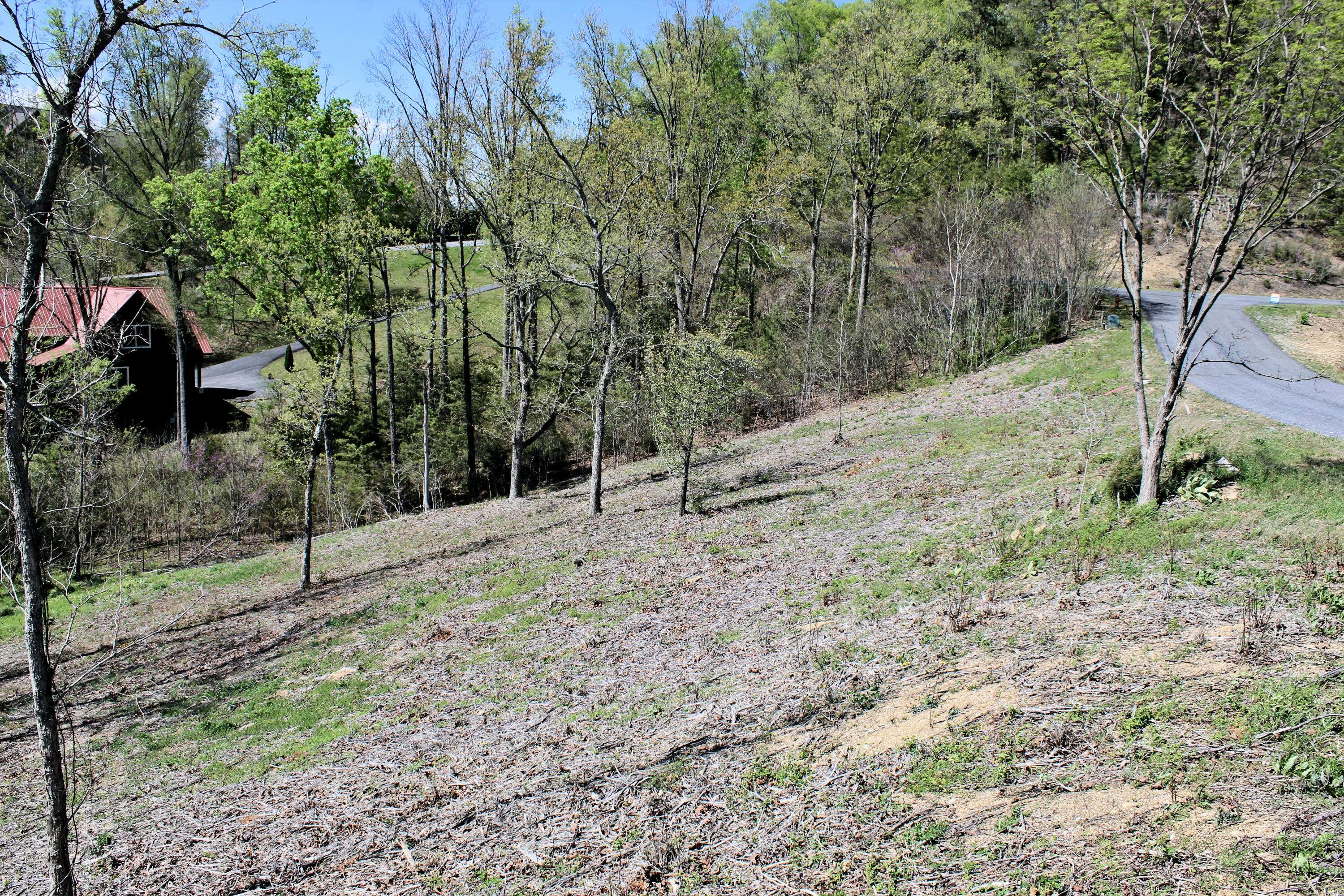 Dandridge, TN 37725,Lot 58 Stone Harbor Dr