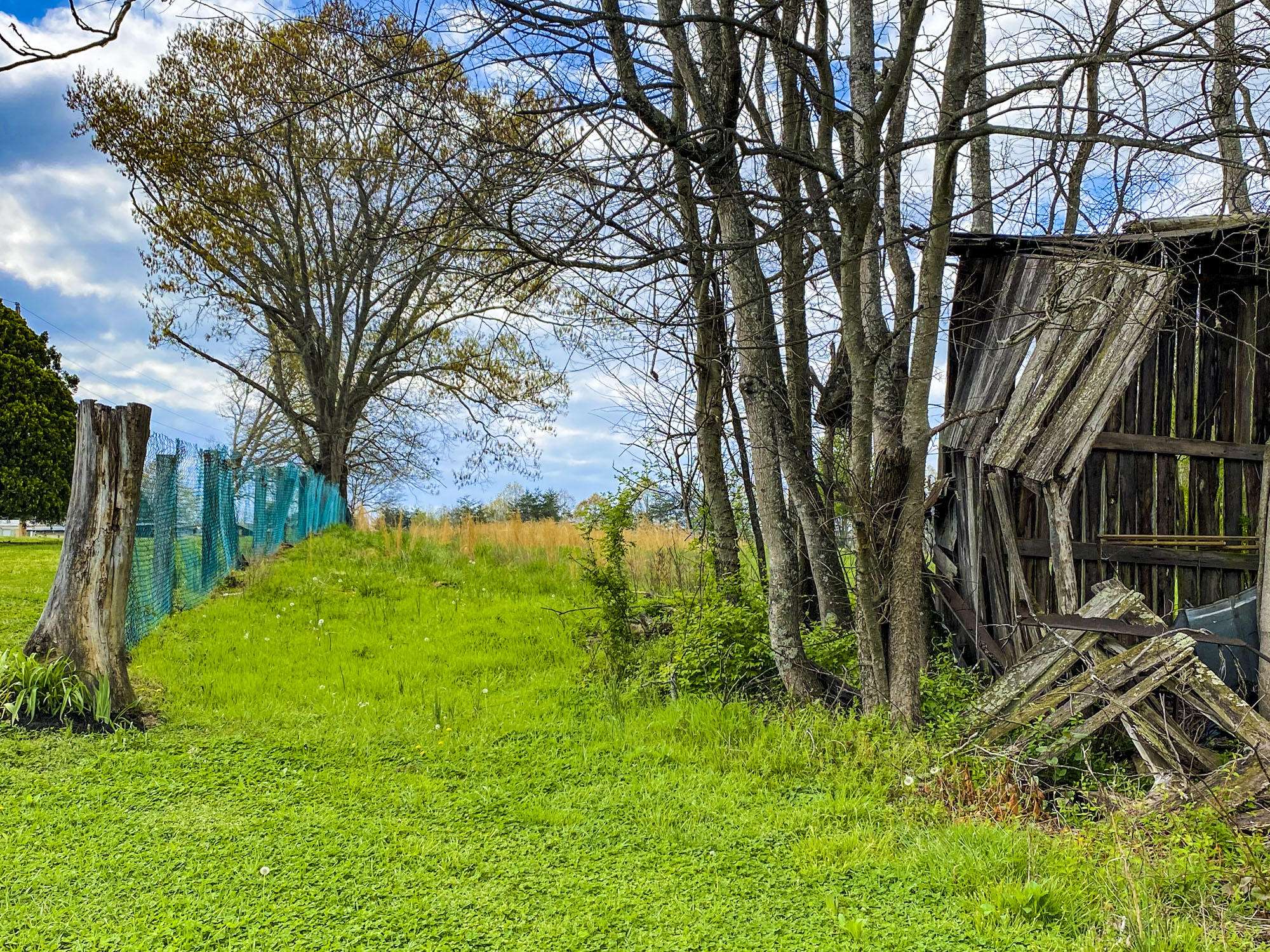 Dandridge, TN 37725,Burchfield Rd