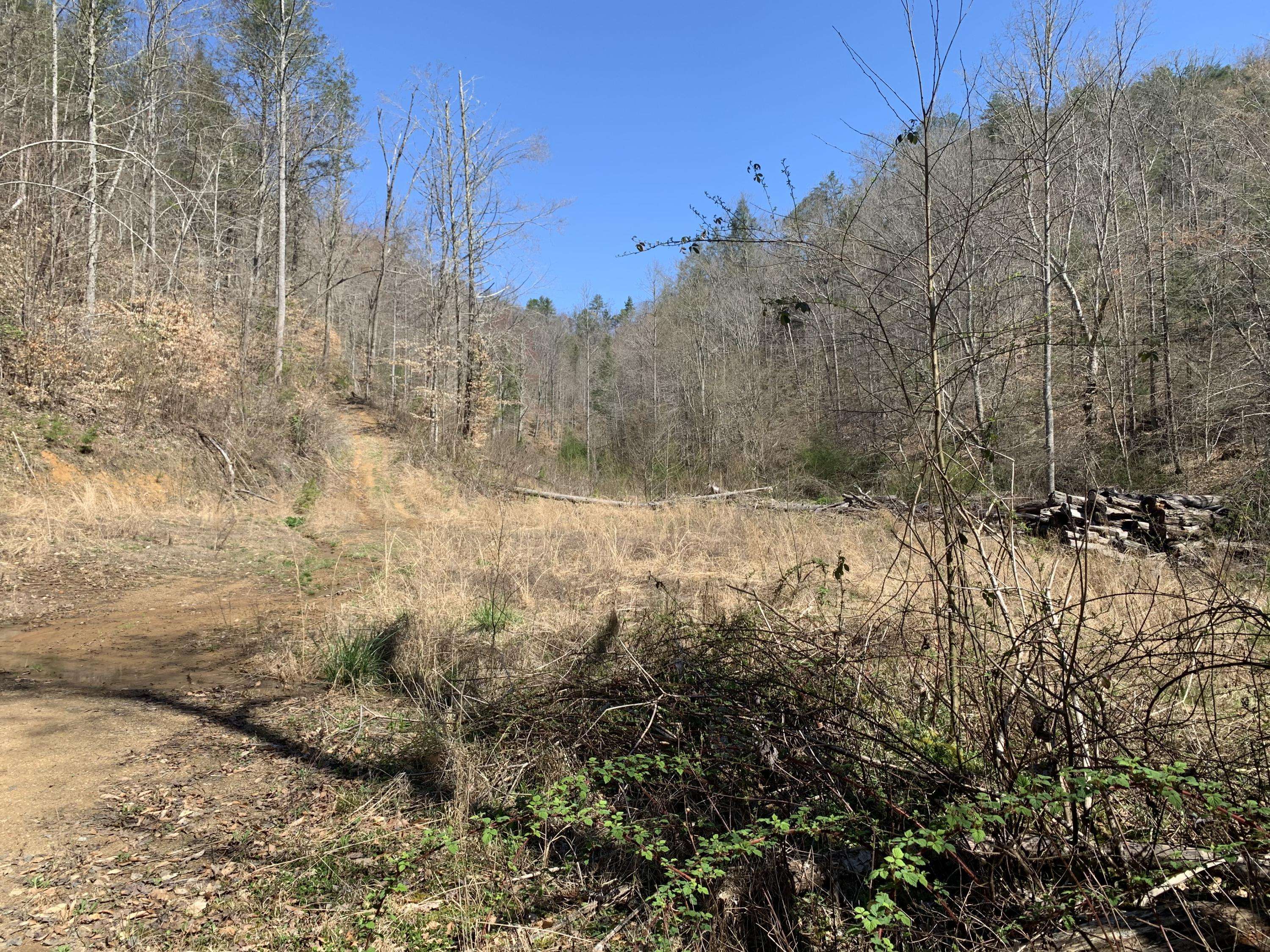 Cosby, TN 37722,+-173.7 ac Middle Creek Rd