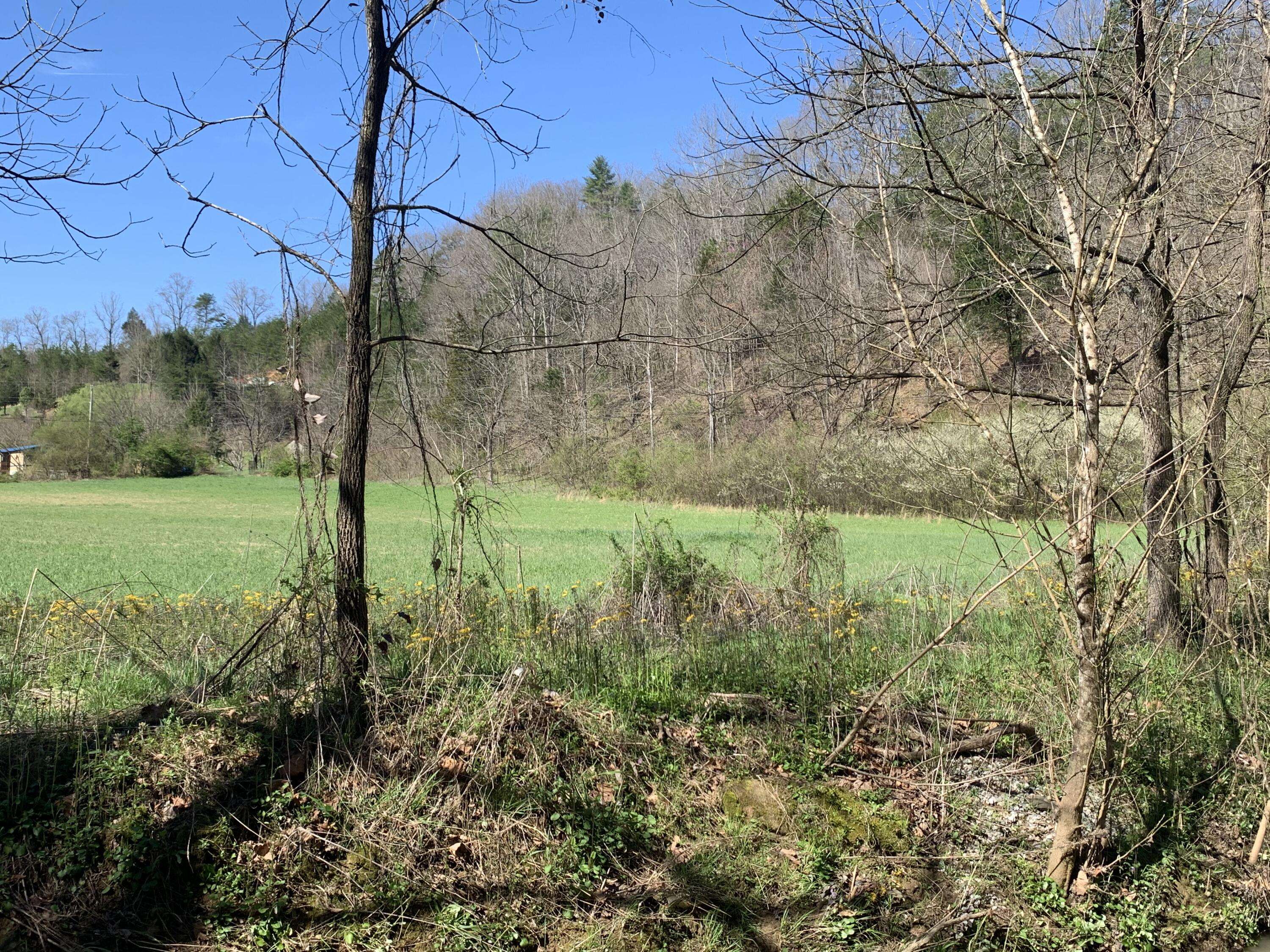 Cosby, TN 37722,+-173.7 ac Middle Creek Rd