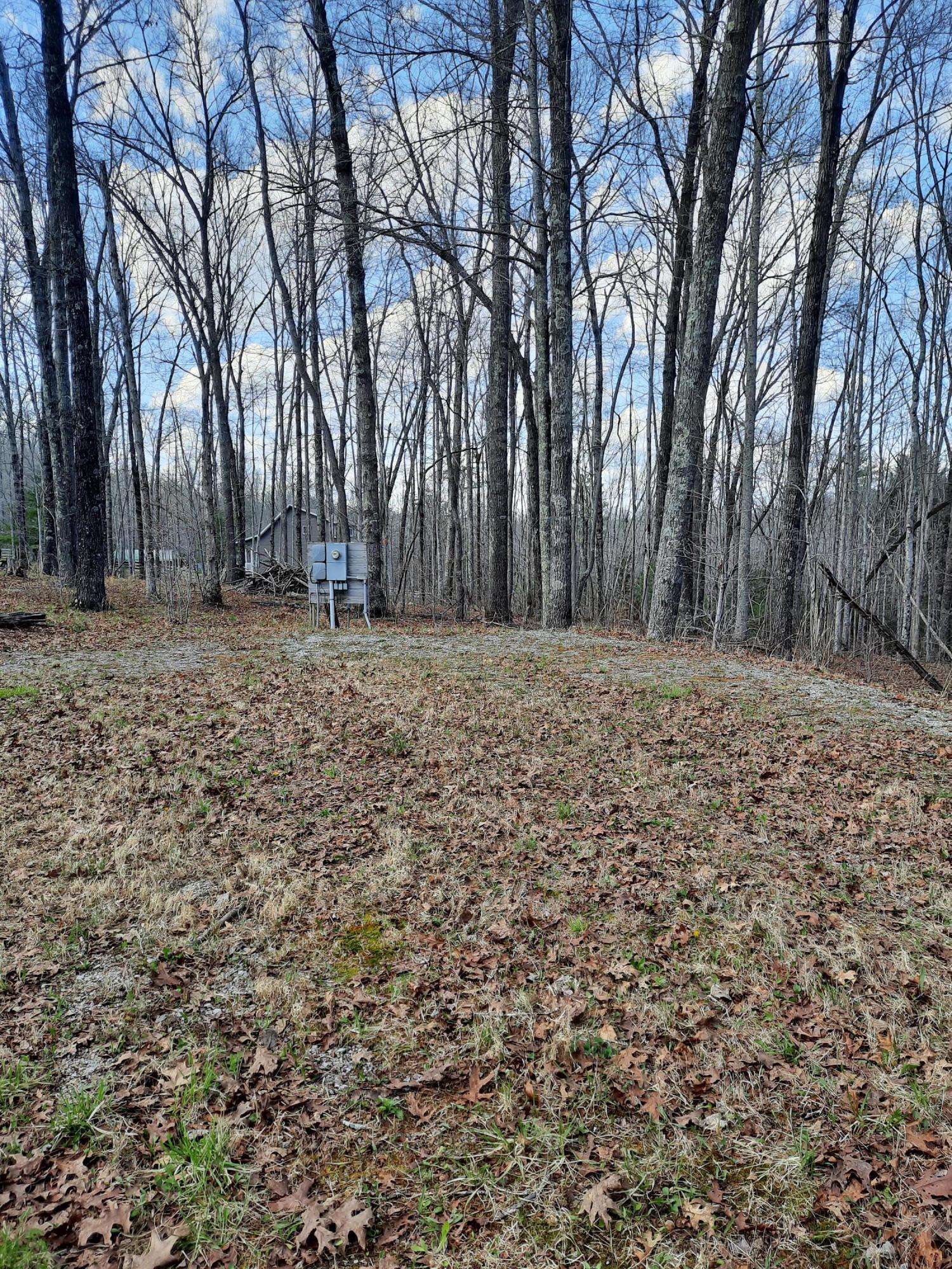 Jamestown, TN 38556,Lot # 128 Deer Haven Tr