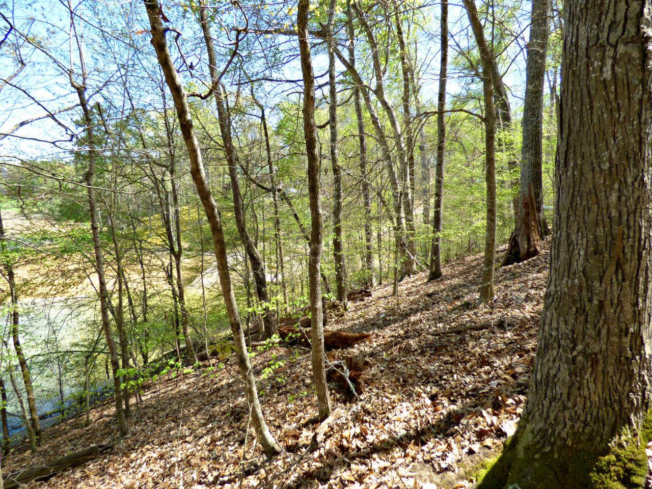 Dandridge, TN 37725,Lot 9 Clark LN