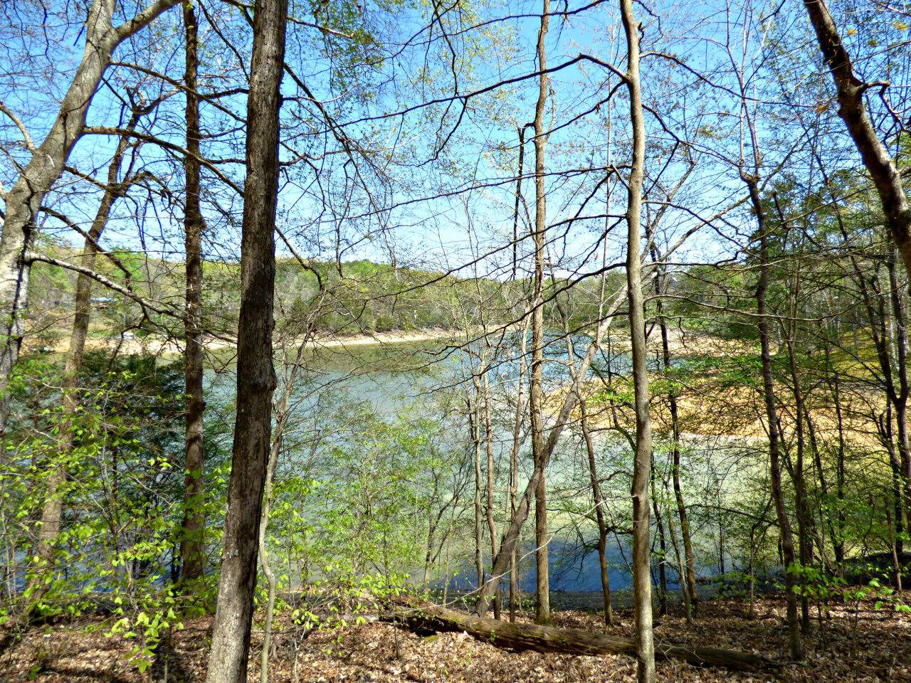 Dandridge, TN 37725,Lot 9 Clark LN