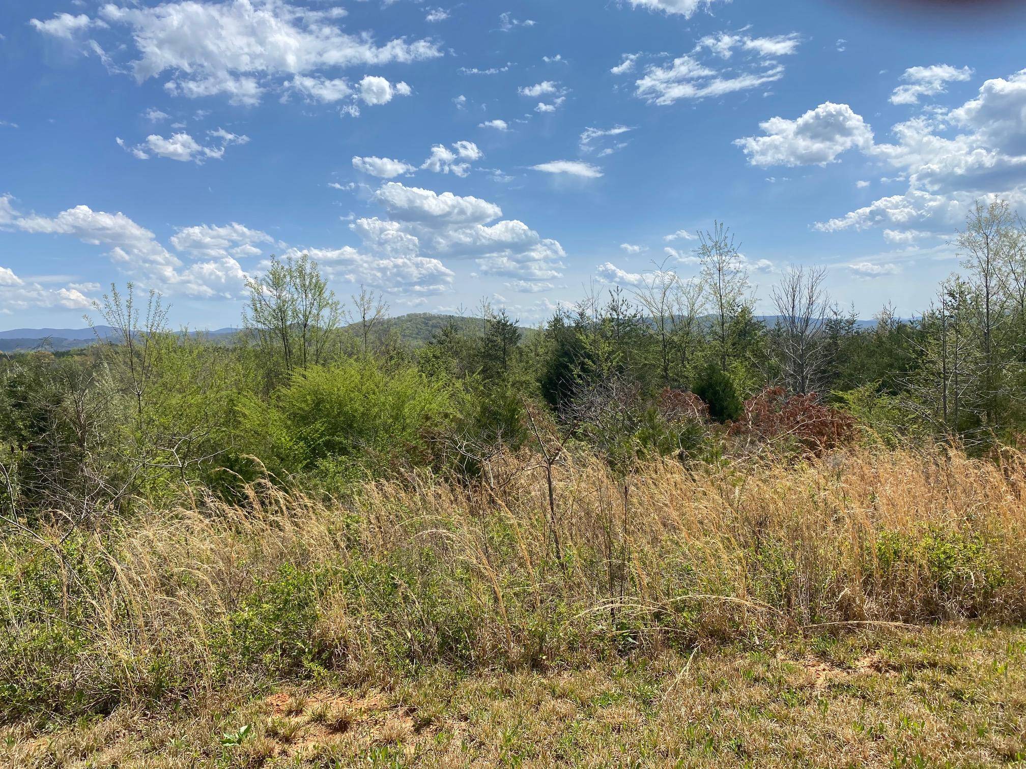 Tellico Plains, TN 37385,Jones DR