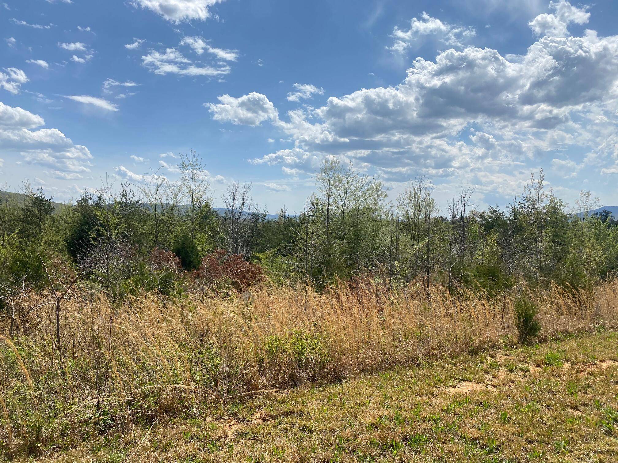 Tellico Plains, TN 37385,Jones DR