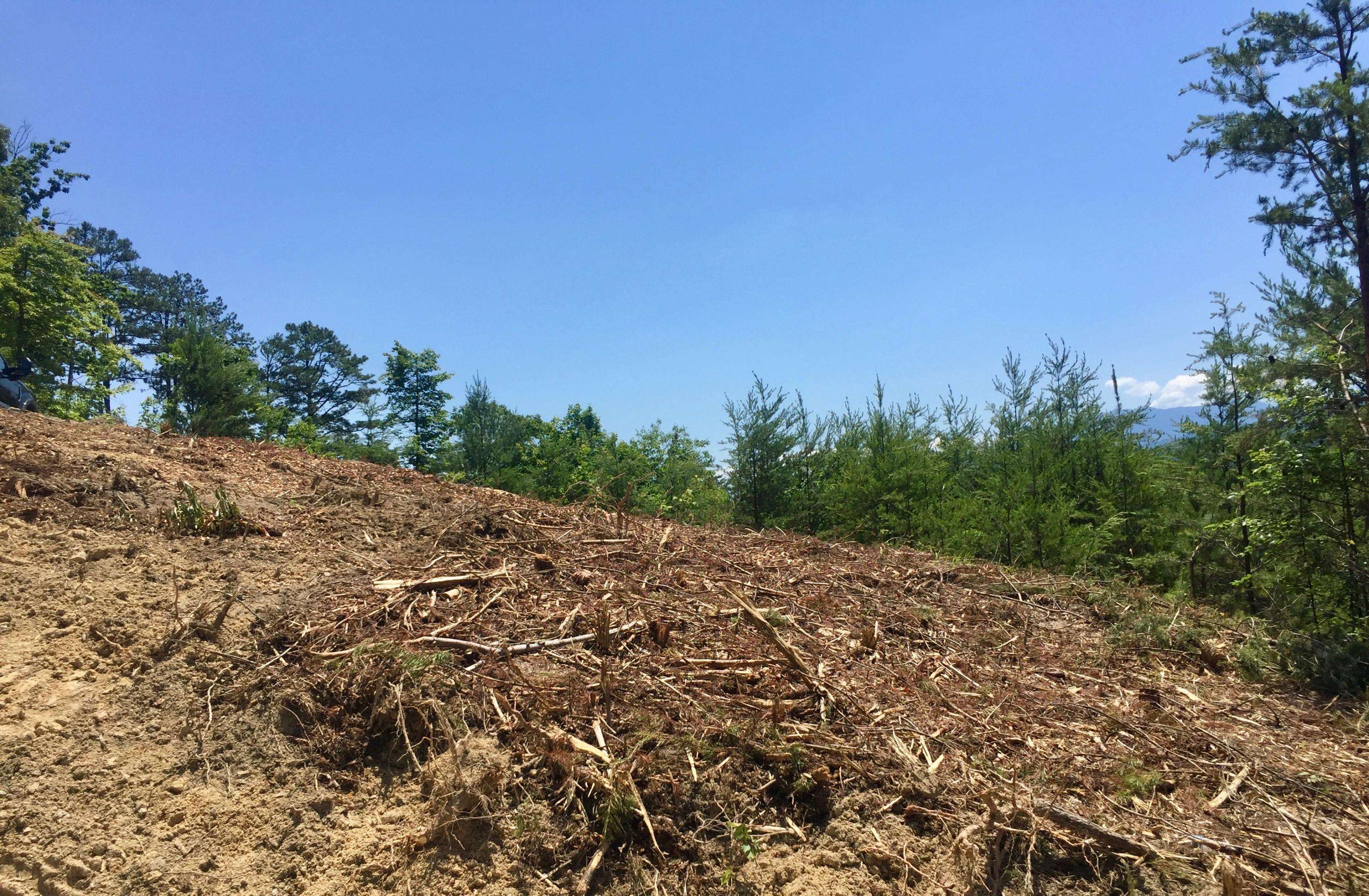 Sevierville, TN 37862,Lot 6 Summit Trails DR