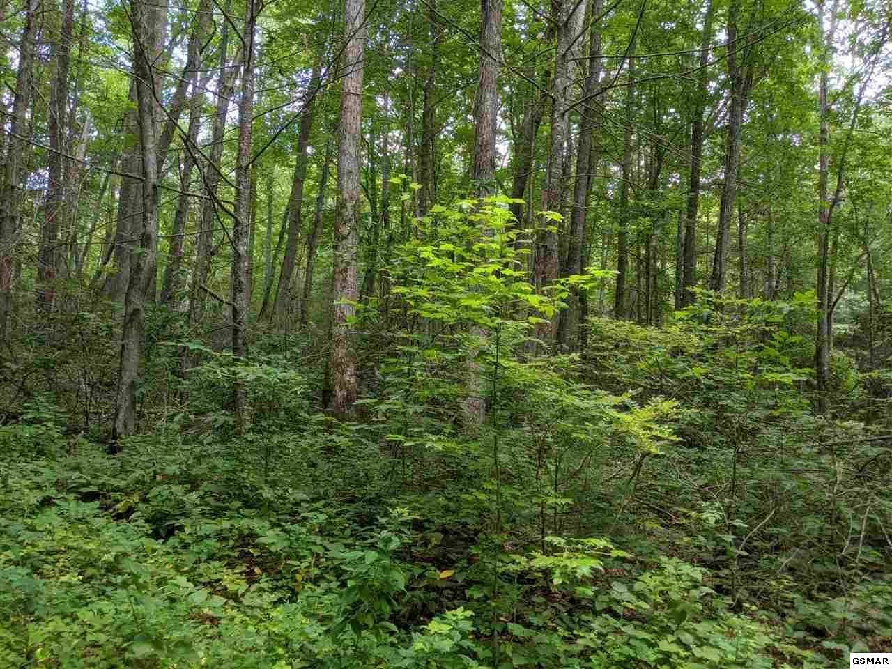 Sevierville, TN 37862,Lot 75 Big Sycamore St