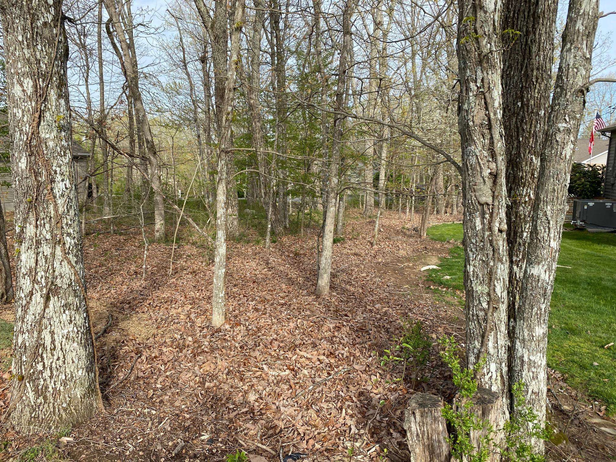 Fairfield Glade, TN 38558,163 Greenwood Rd