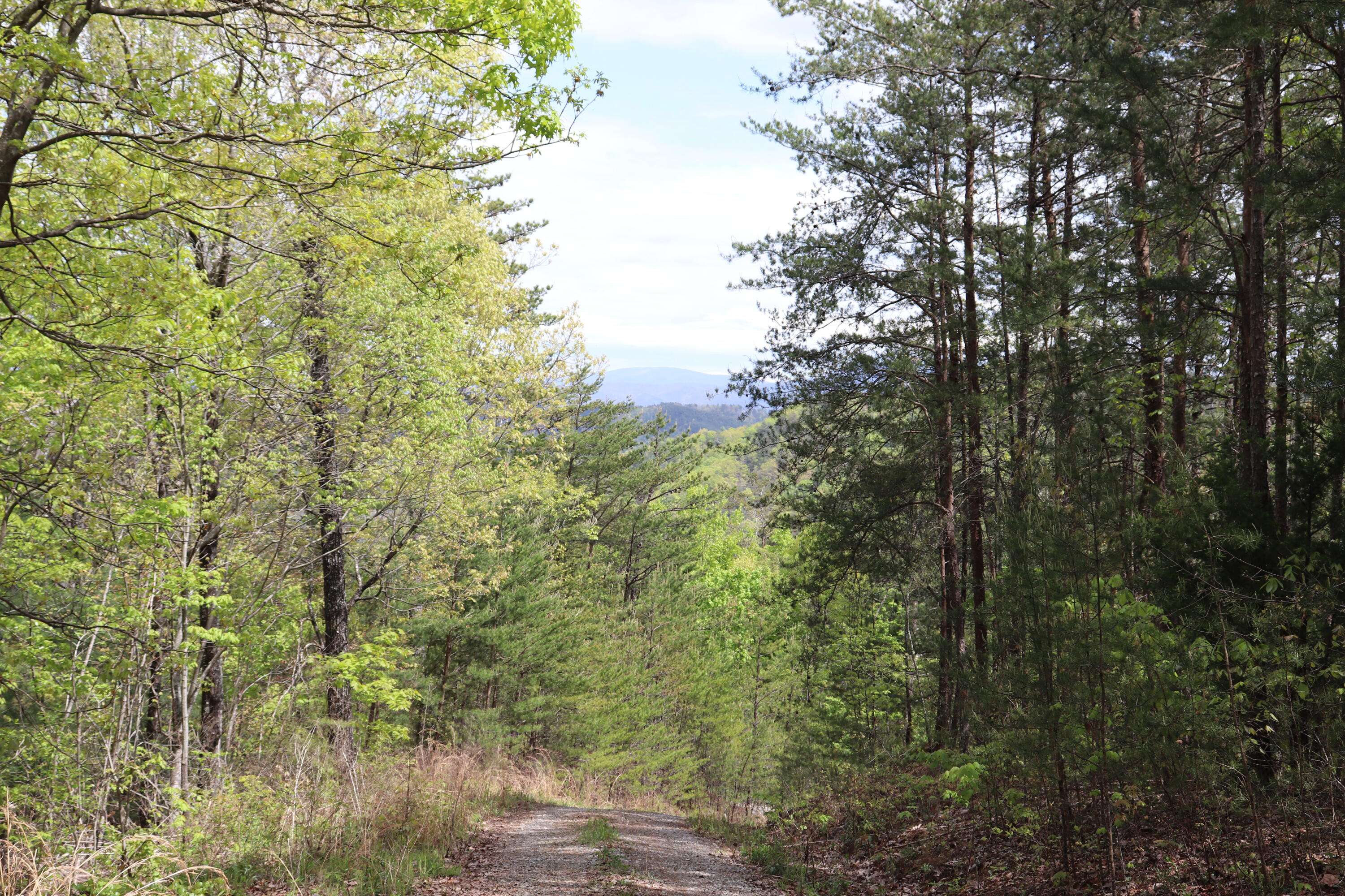 Tellico Plains, TN 37385,000 Bullet Mountain Drive