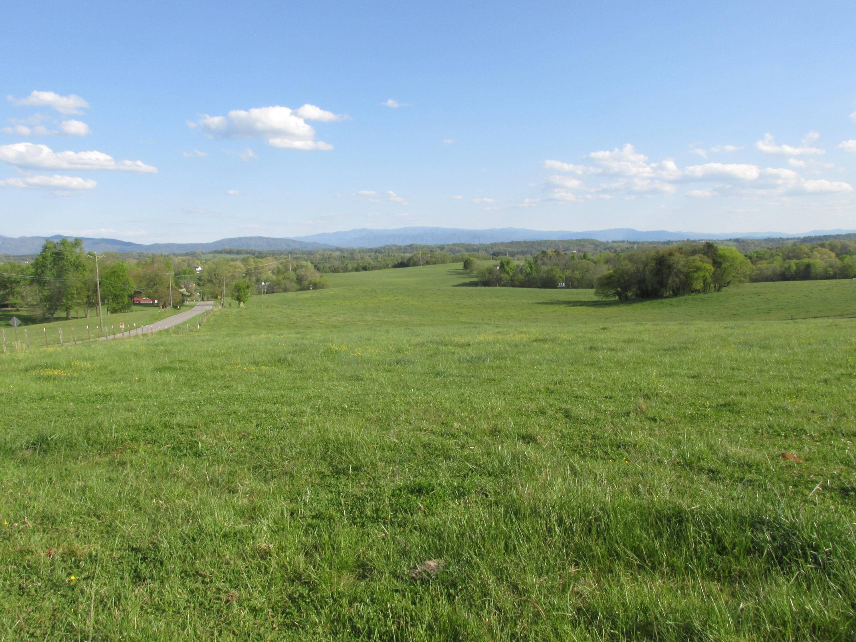 Greenback, TN 37742,Meadow Road West 5.02 Acres