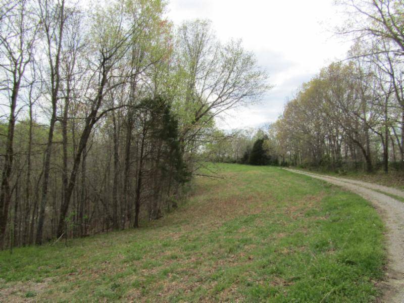 Moss, TN 38575,33.50ac Mustang LN