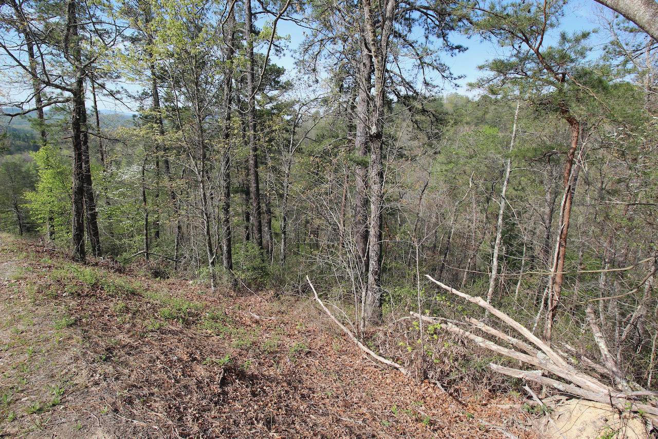 Sevierville, TN 37876,Lot 9 Summit Trails Dr.