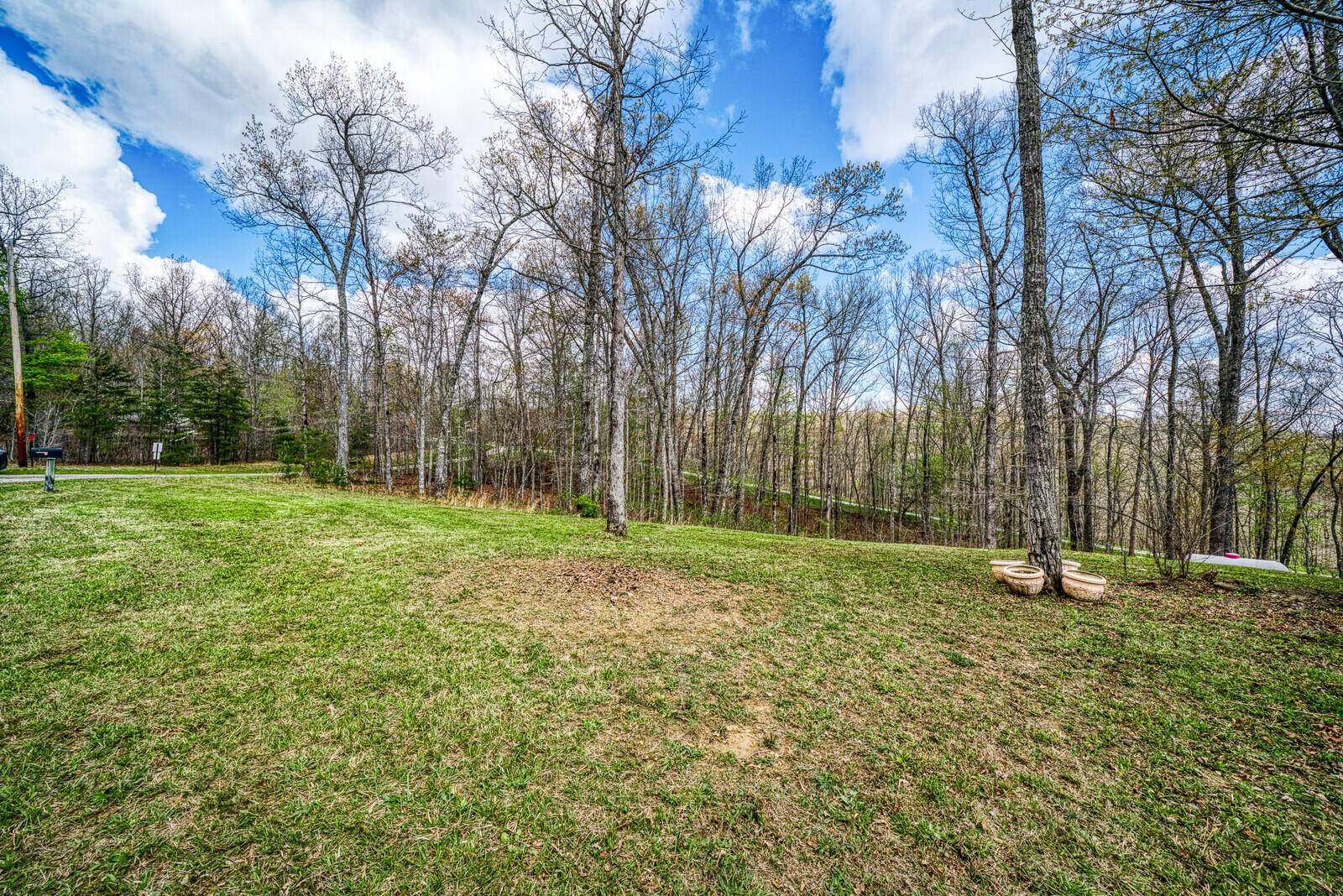 Crawford, TN 38554,1245 Buck LN