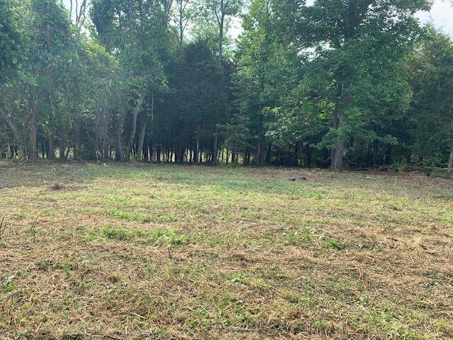 Rockwood, TN 37854,Roaming Fawn Dr, Lot 622