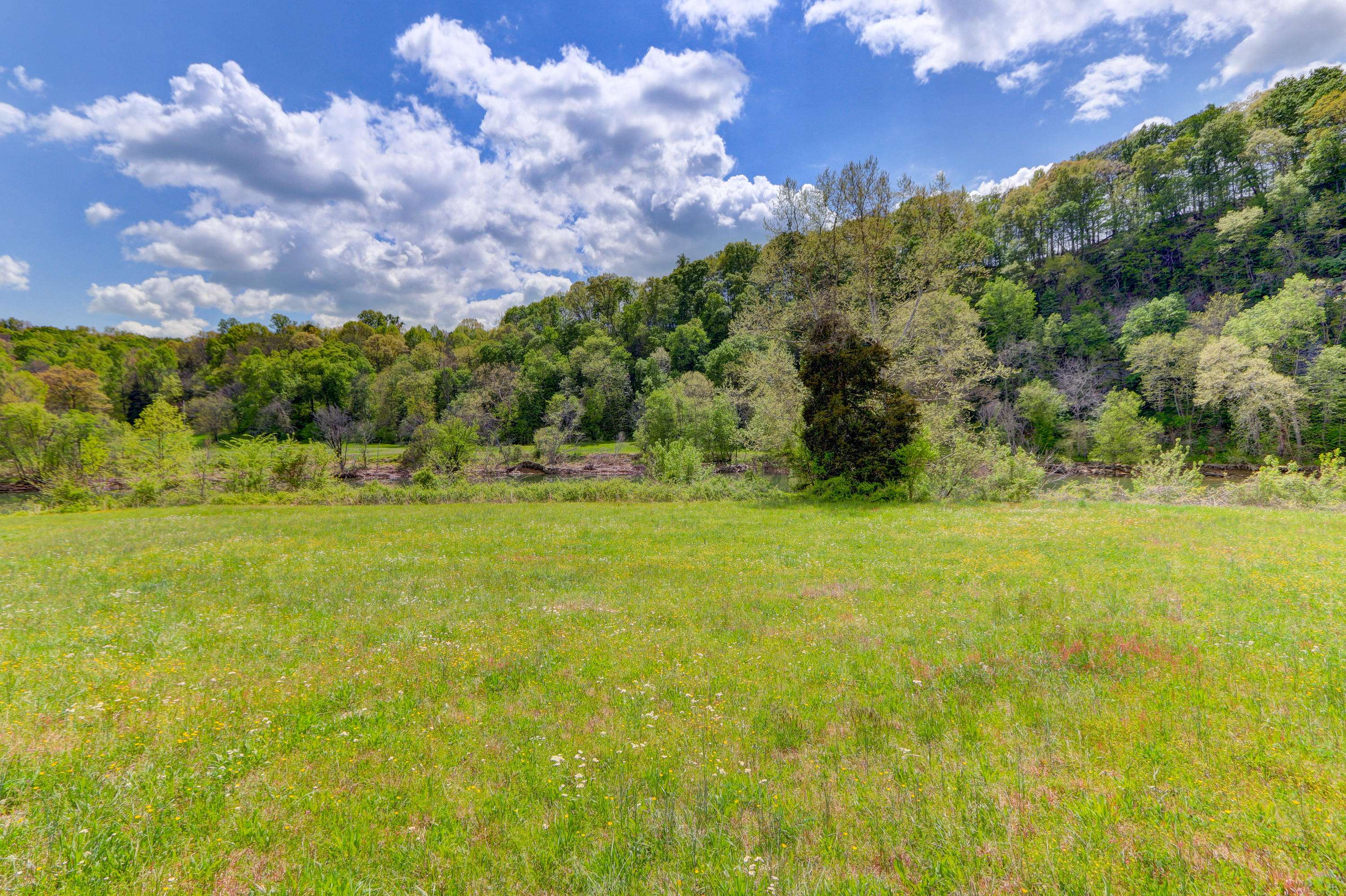 Blaine, TN 37709,River Stone Lot 12 Rd