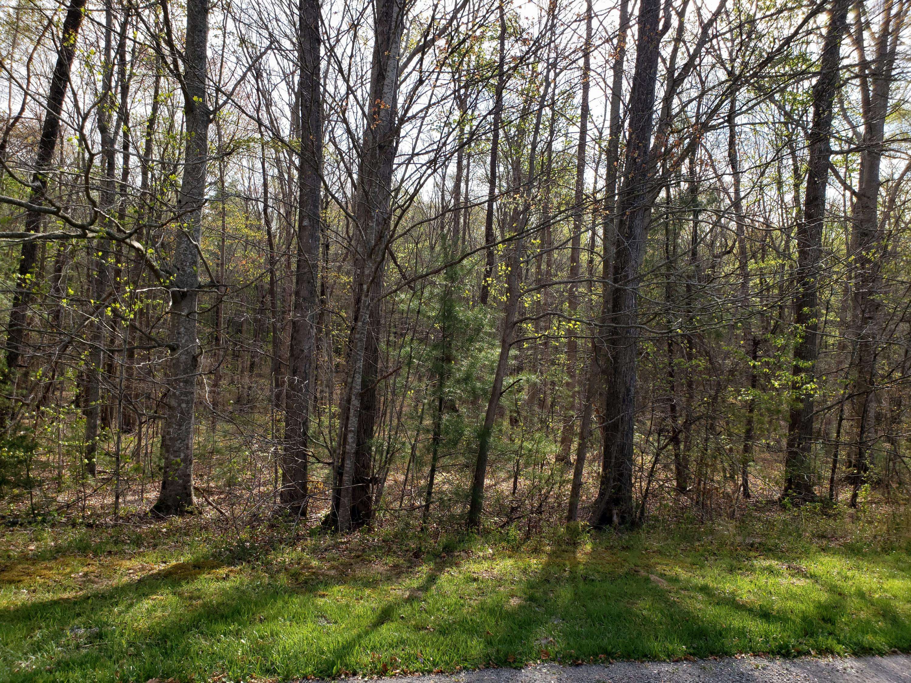 Oneida, TN 37841,Lot 6 Evergreen DR