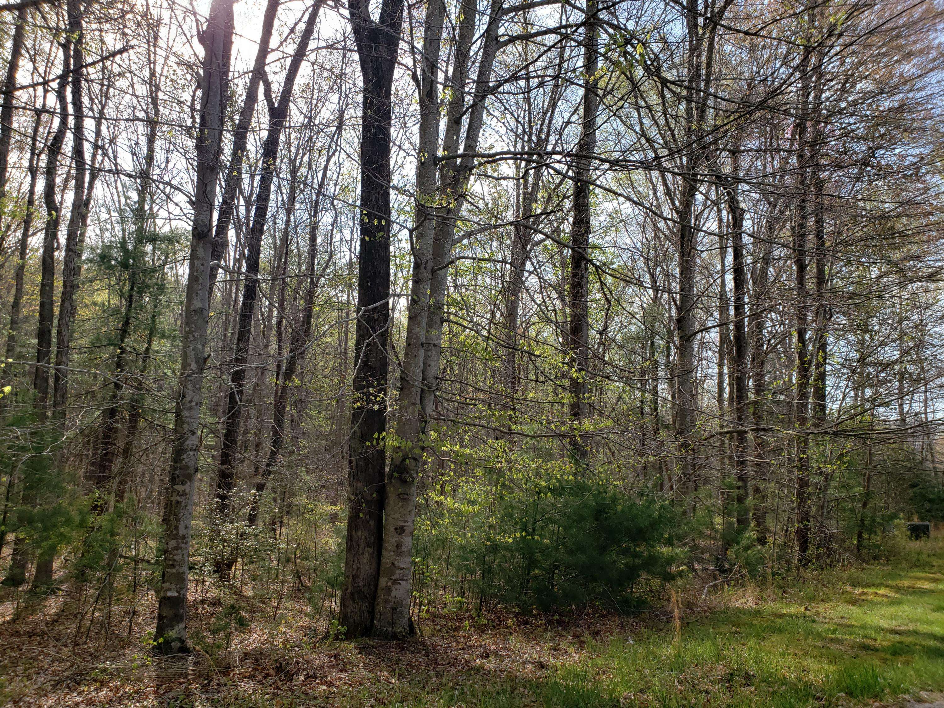 Oneida, TN 37841,Lot 6 Evergreen DR