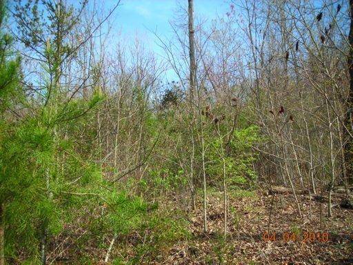 Knoxville, TN 37924,Lot 54 Chestnut Hill LN