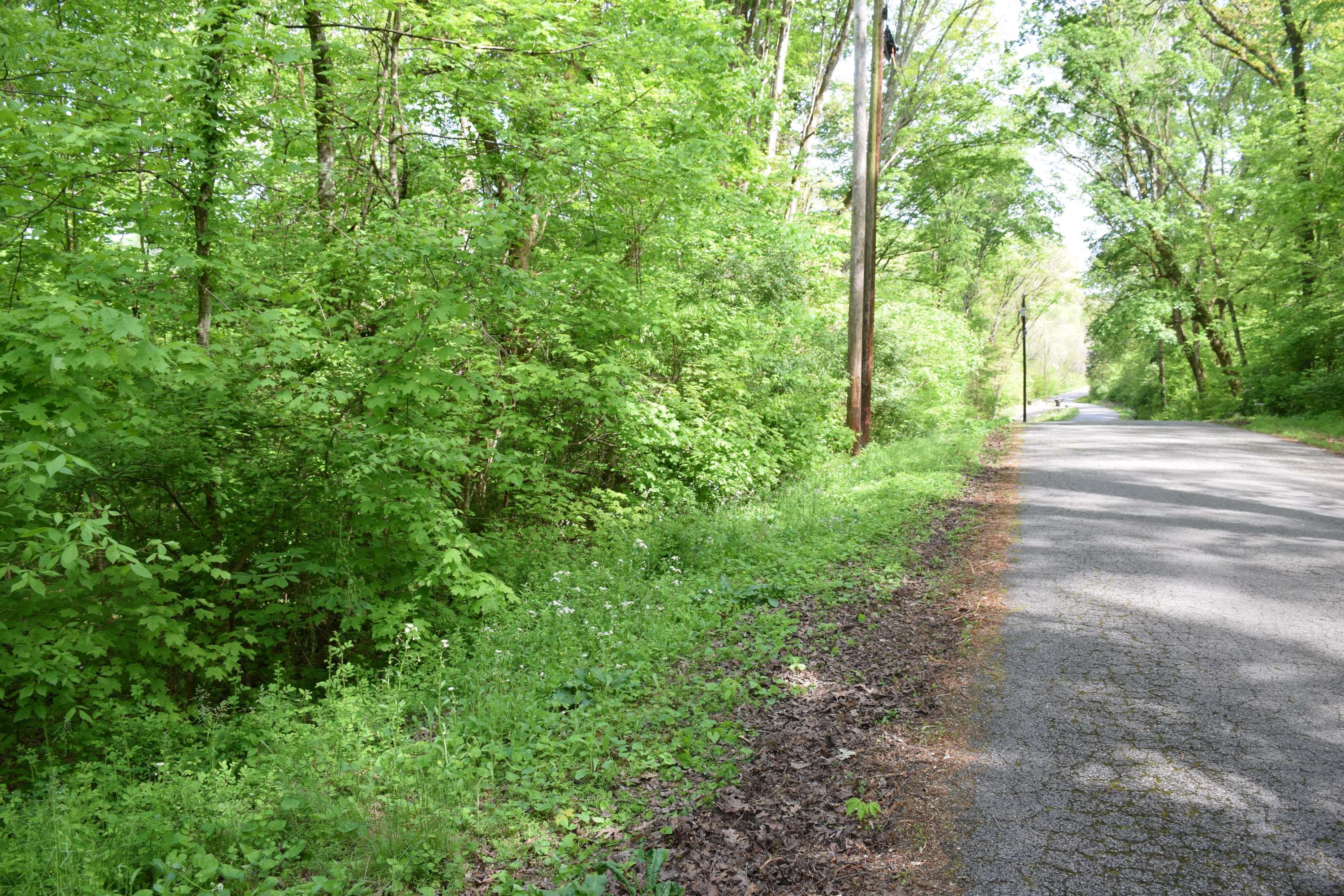 Lenoir City, TN 37771,Lot 10 Hope Creek Rd