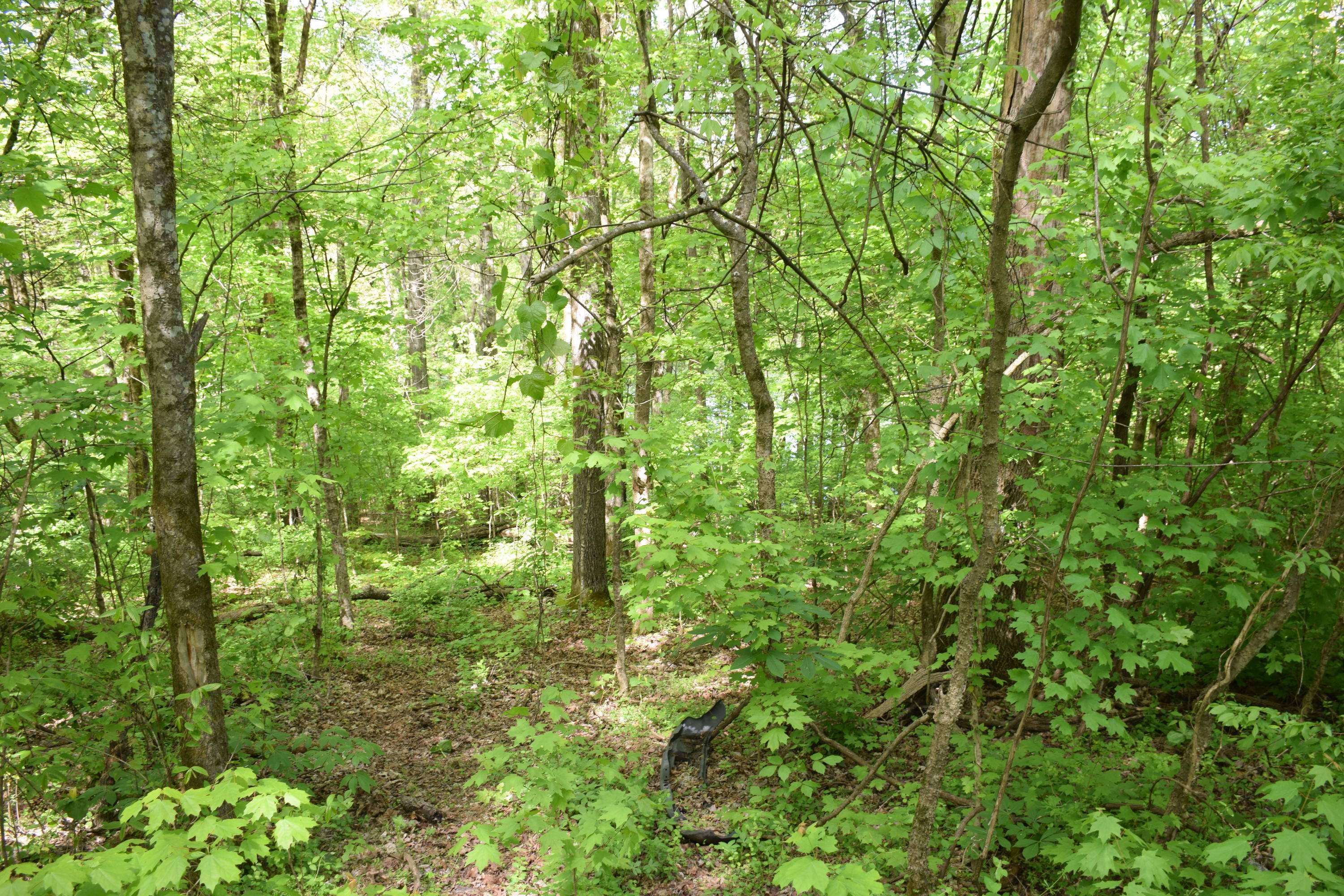 Lenoir City, TN 37771,Lot 10 Hope Creek Rd