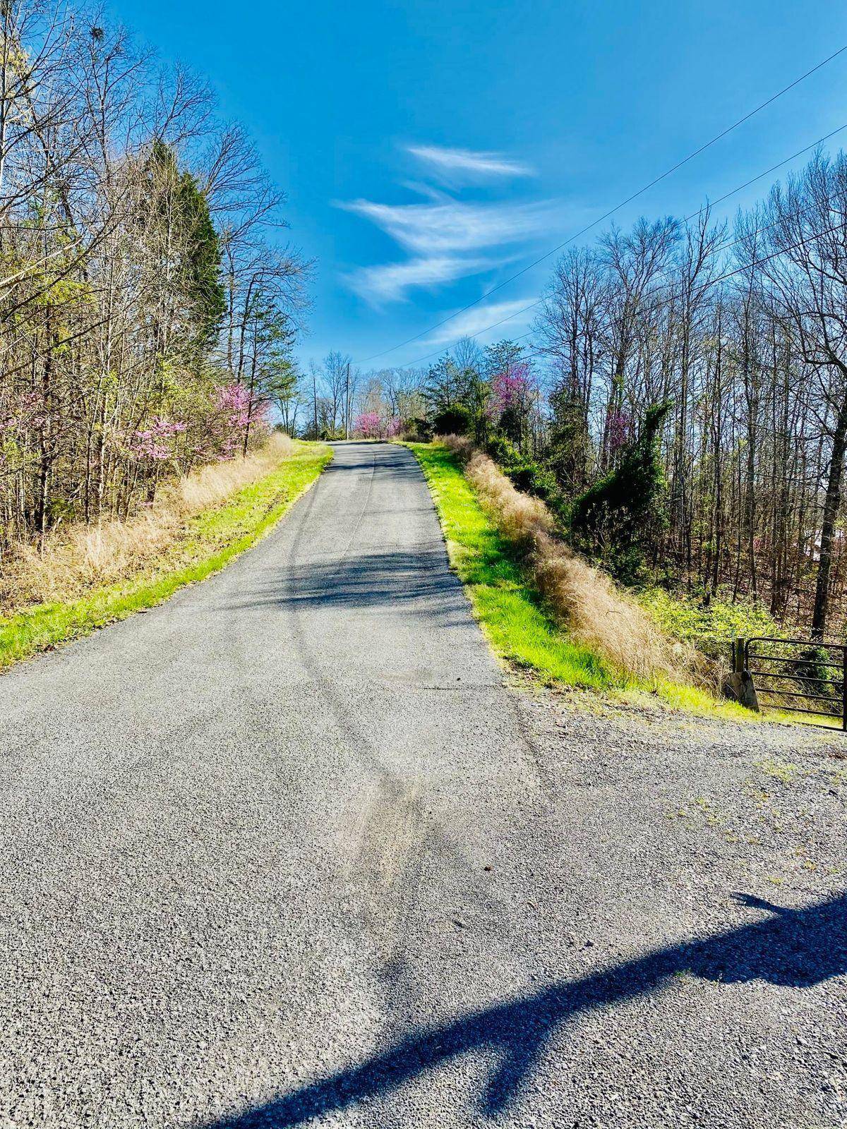 New Tazewell, TN 37825,Laurel Wood Rd