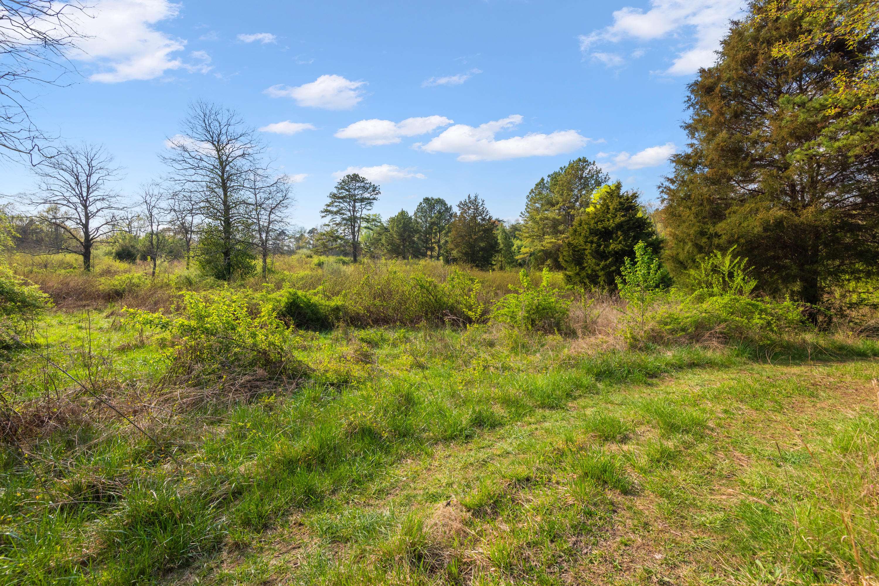 Oak Ridge, TN 37830,Tract #1 Tuskegee DR