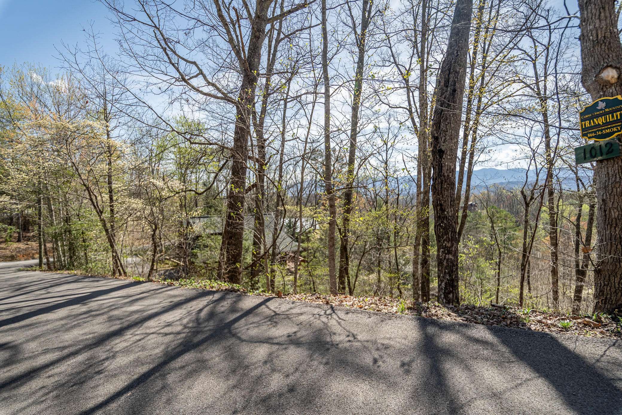 Gatlinburg, TN 37738,Lot 19 Vista DR