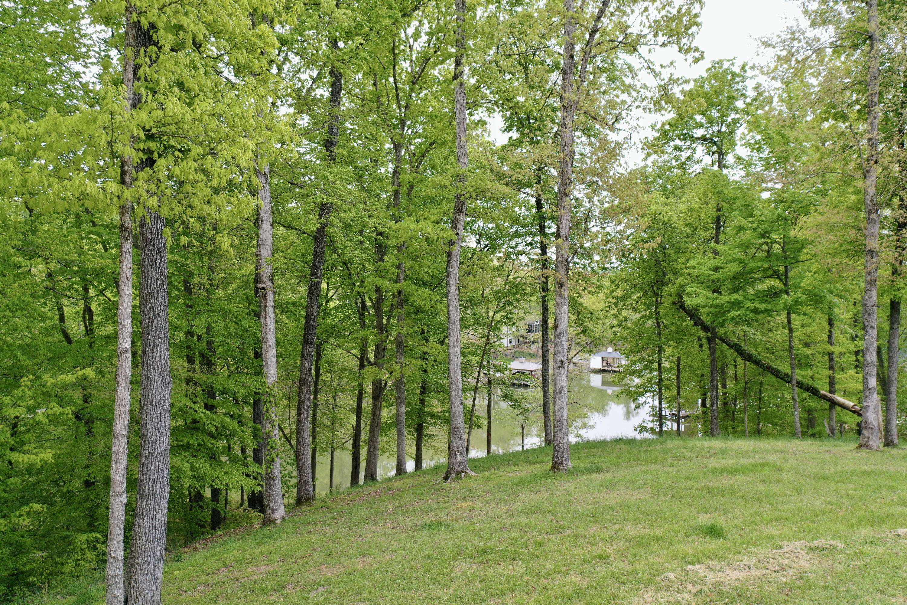 Ten Mile, TN 37880,Waterfront WAY