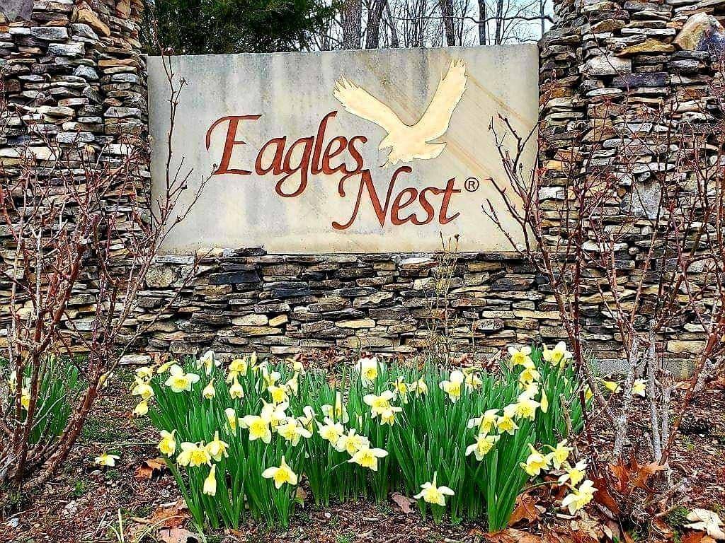 Crab Orchard, TN 37723,Lot 11 Lower Eagle's Nest