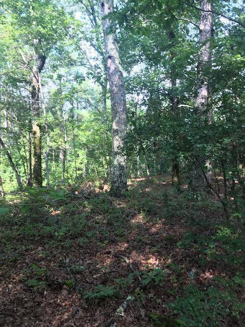 Decatur, TN 37322,Tract 17M Armstrong Ferry Rd (26.97ac)