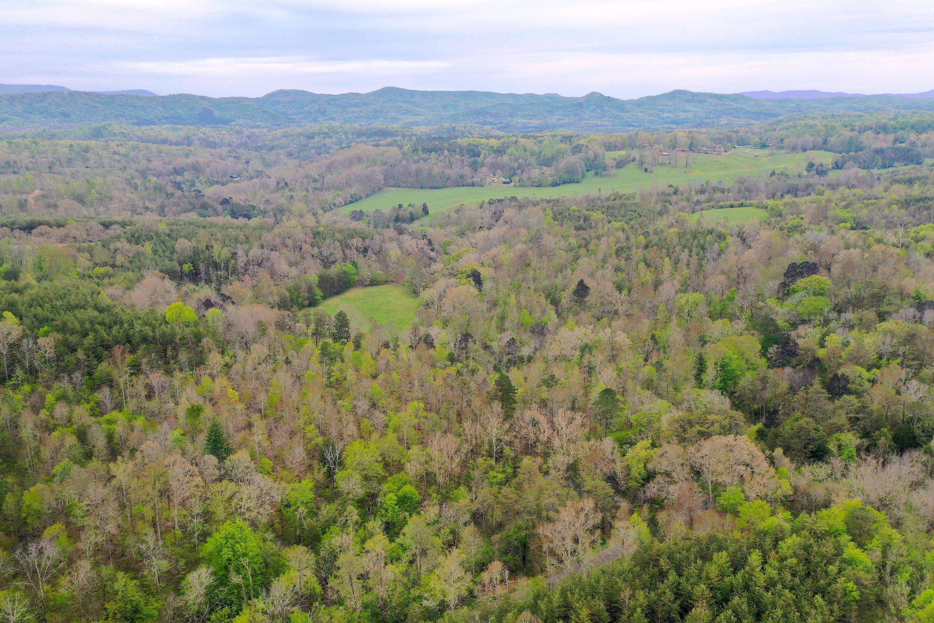 Tellico Plains, TN 37385,1 Shoal Creek Rd