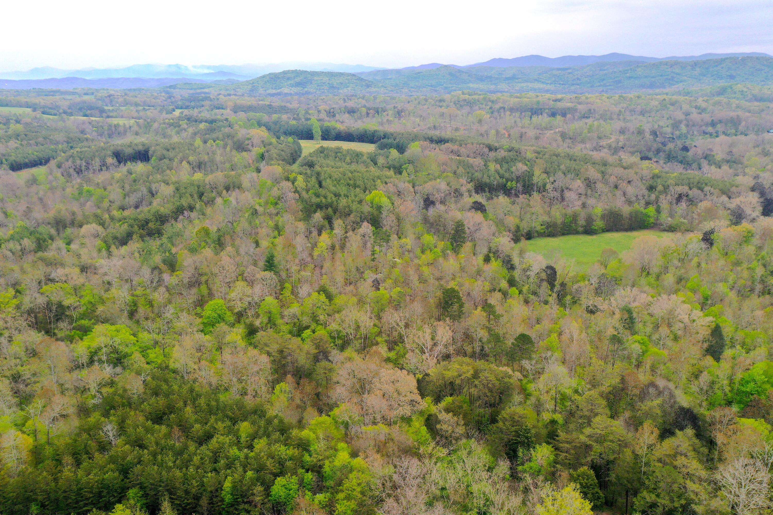 Tellico Plains, TN 37385,1 Shoal Creek Rd