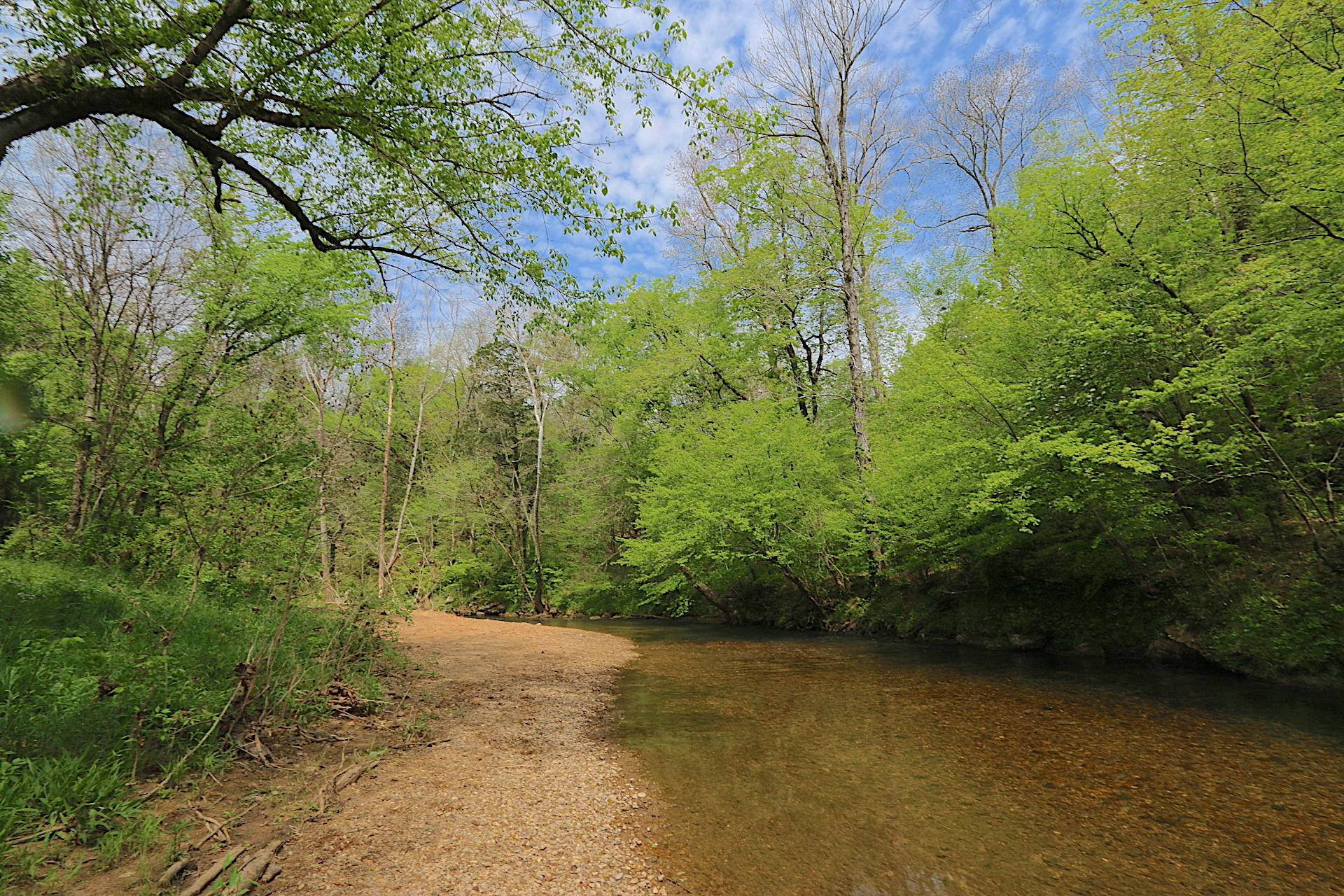 Tellico Plains, TN 37385,1 Shoal Creek Rd