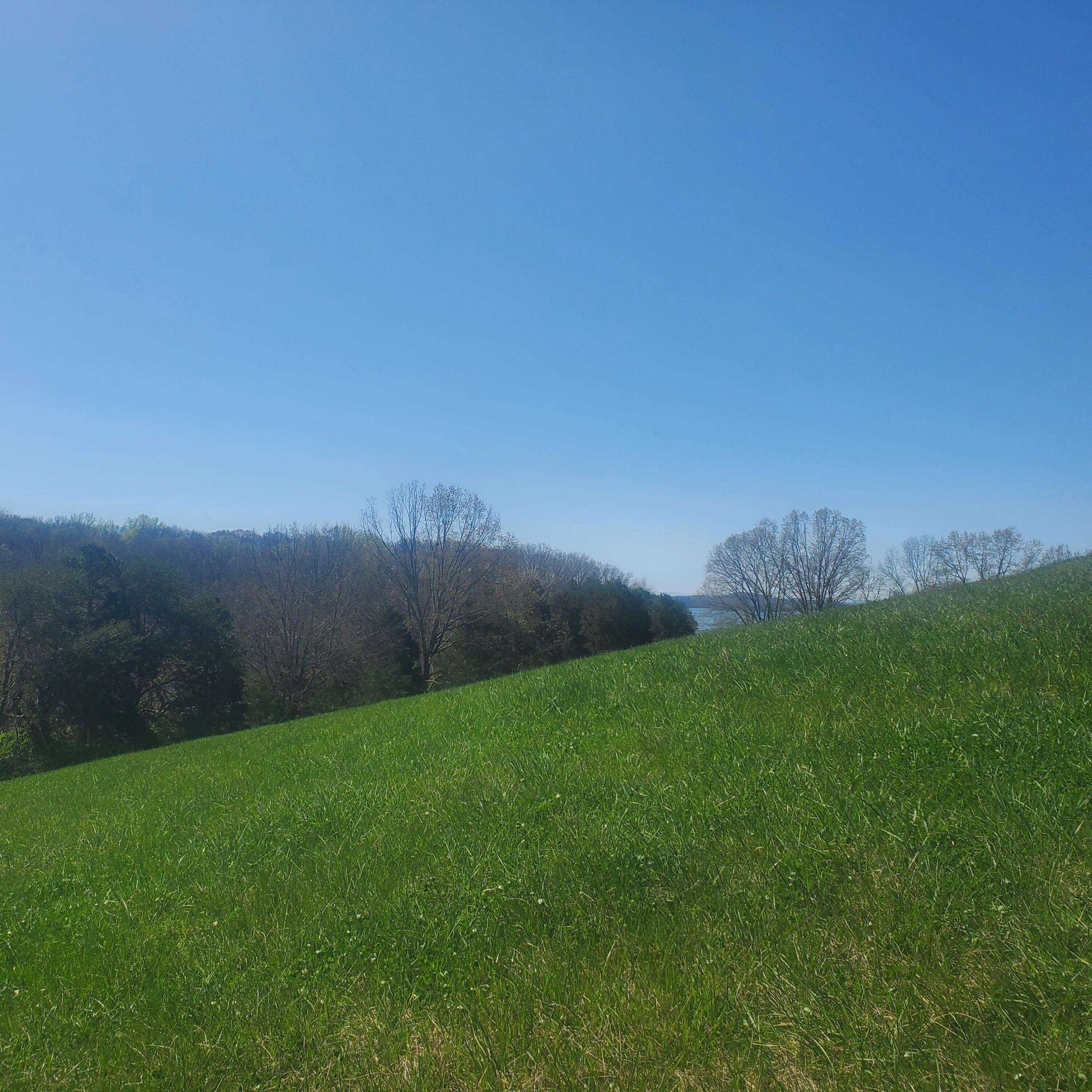 Rutledge, TN 37861,Lot 42 Cow Poke LN