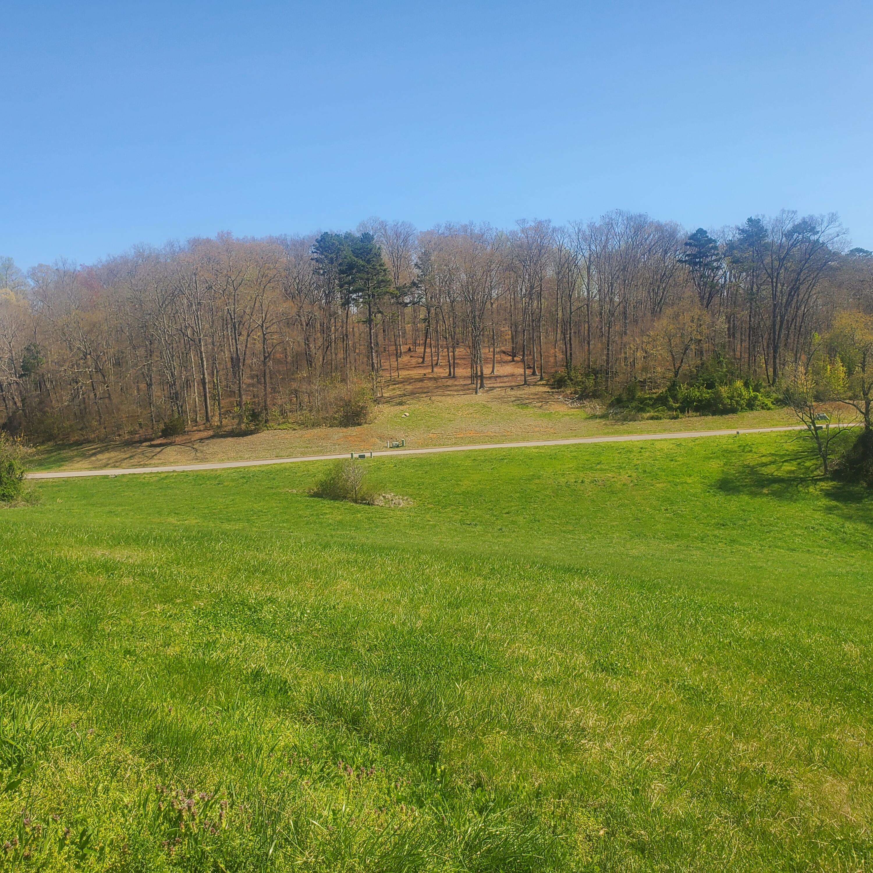 Rutledge, TN 37861,Lot 42 Cow Poke LN