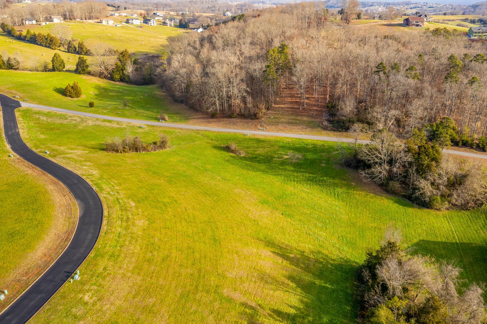 Rutledge, TN 37861,Lot 42 Cow Poke LN