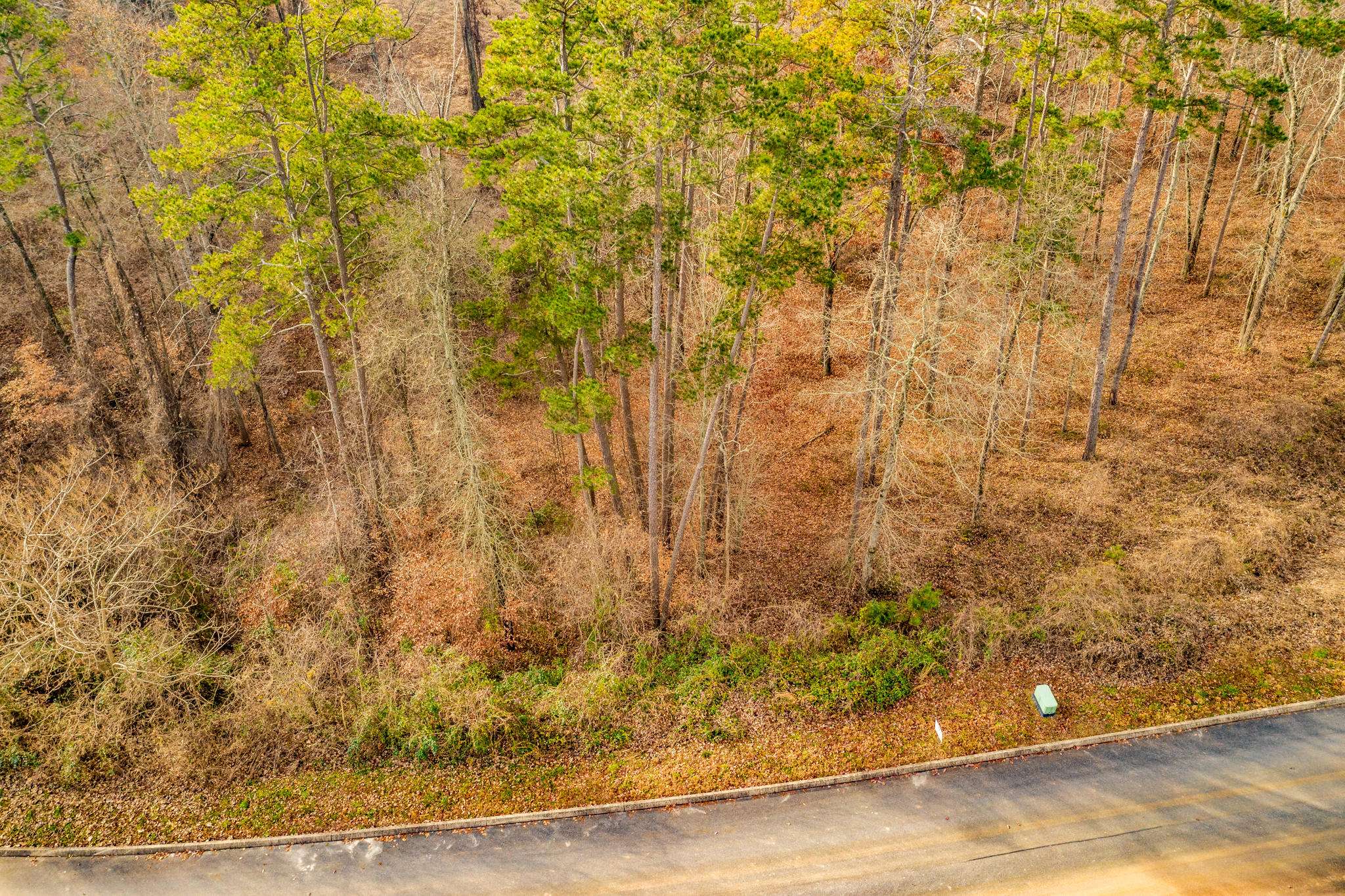 Rutledge, TN 37861,Lot 140 Tumbleweed Tr