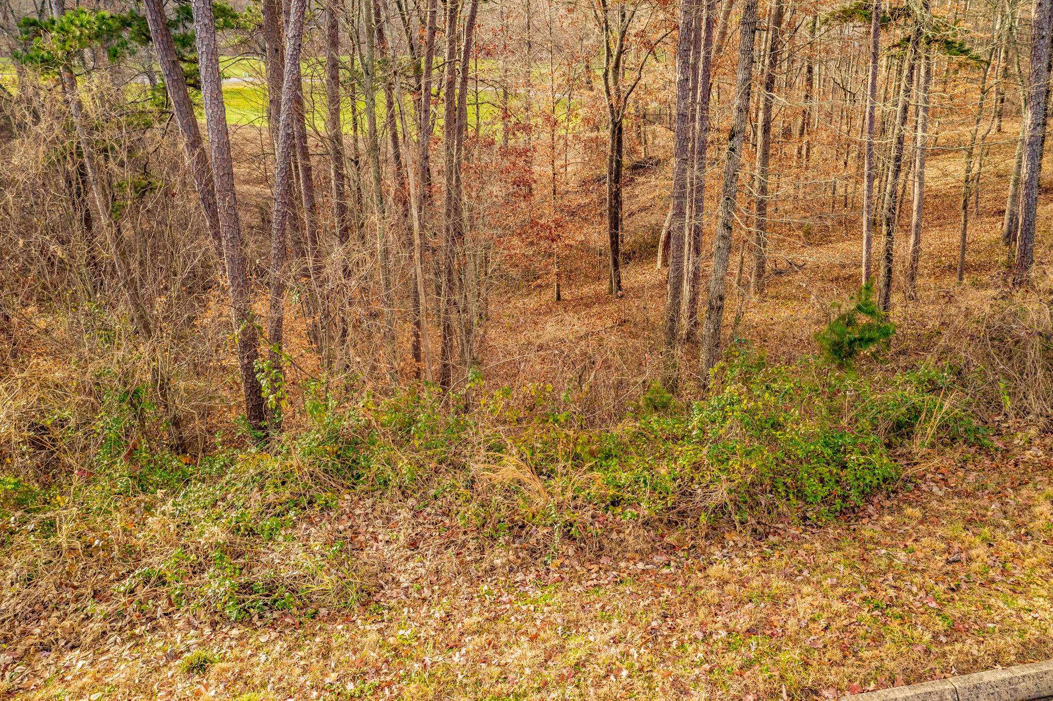 Rutledge, TN 37861,Lot 140 Tumbleweed Tr