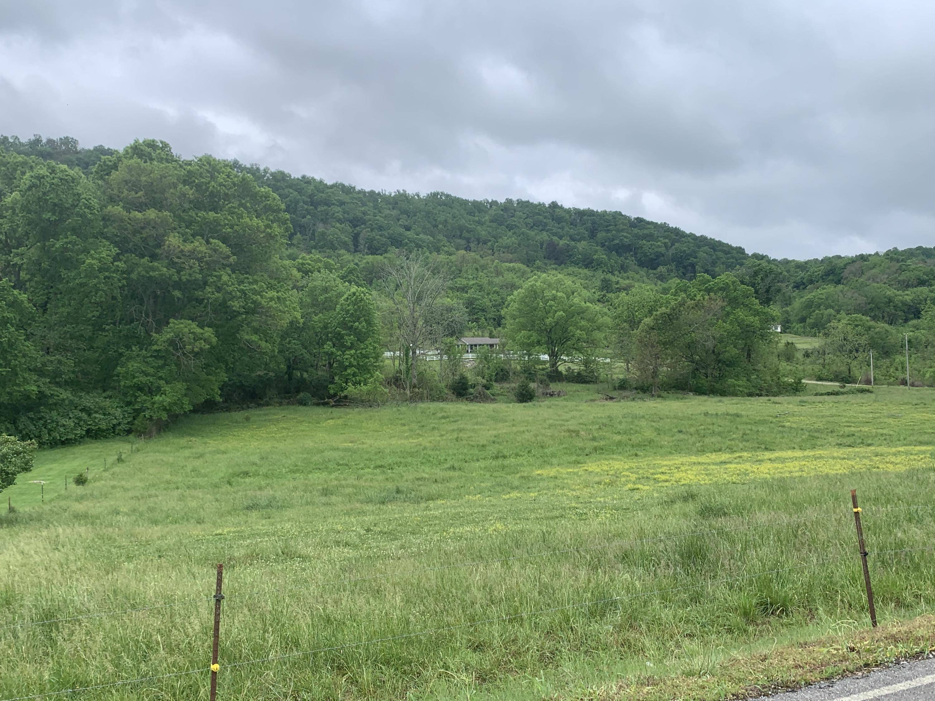 New Market, TN 37820,Hinchey Hollow Road