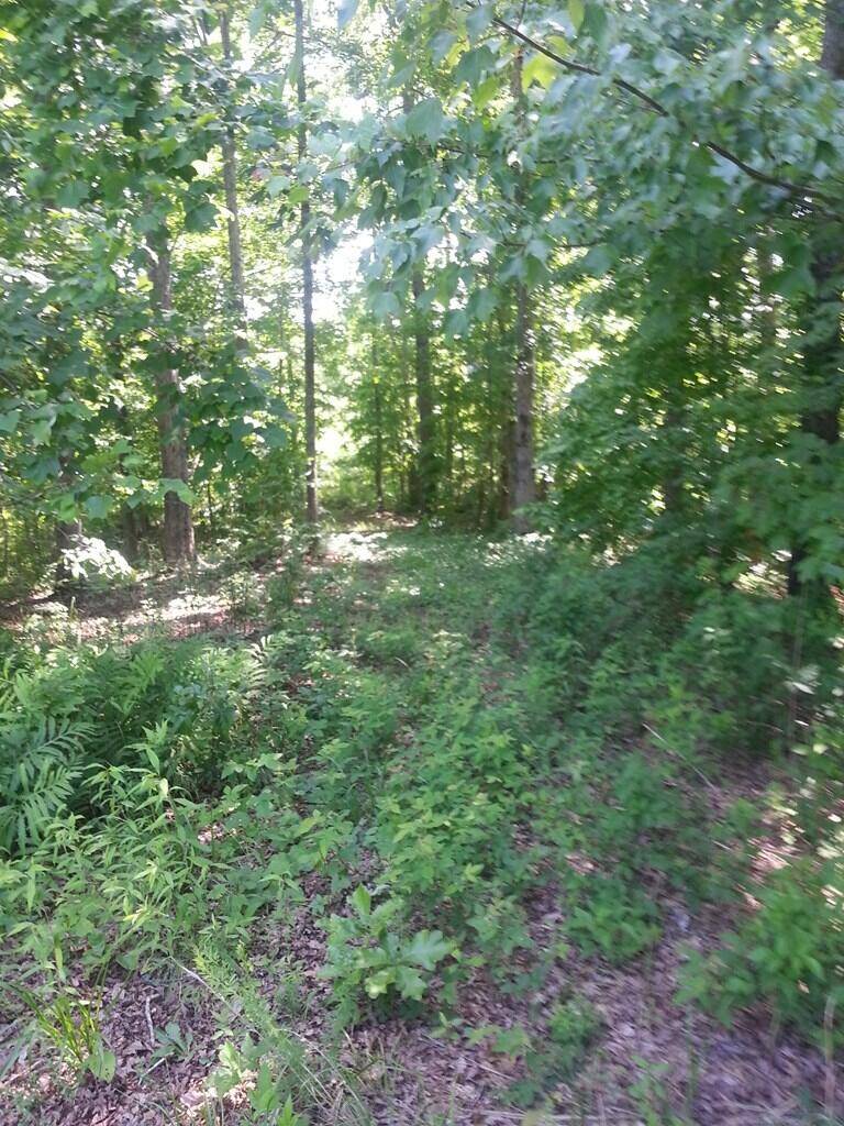 Sparta, TN 38583,Lot 5 Coves Point Rd