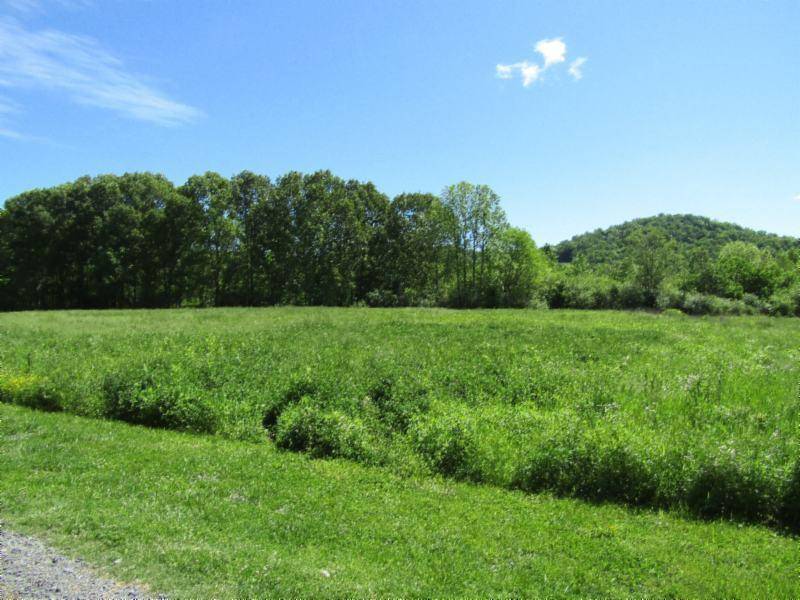 Gainesboro, TN 38562,5.20ac Big Bottom Rd