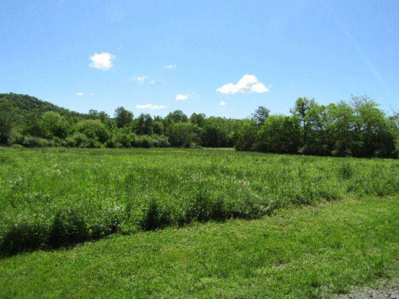 Gainesboro, TN 38562,5.20ac Big Bottom Rd